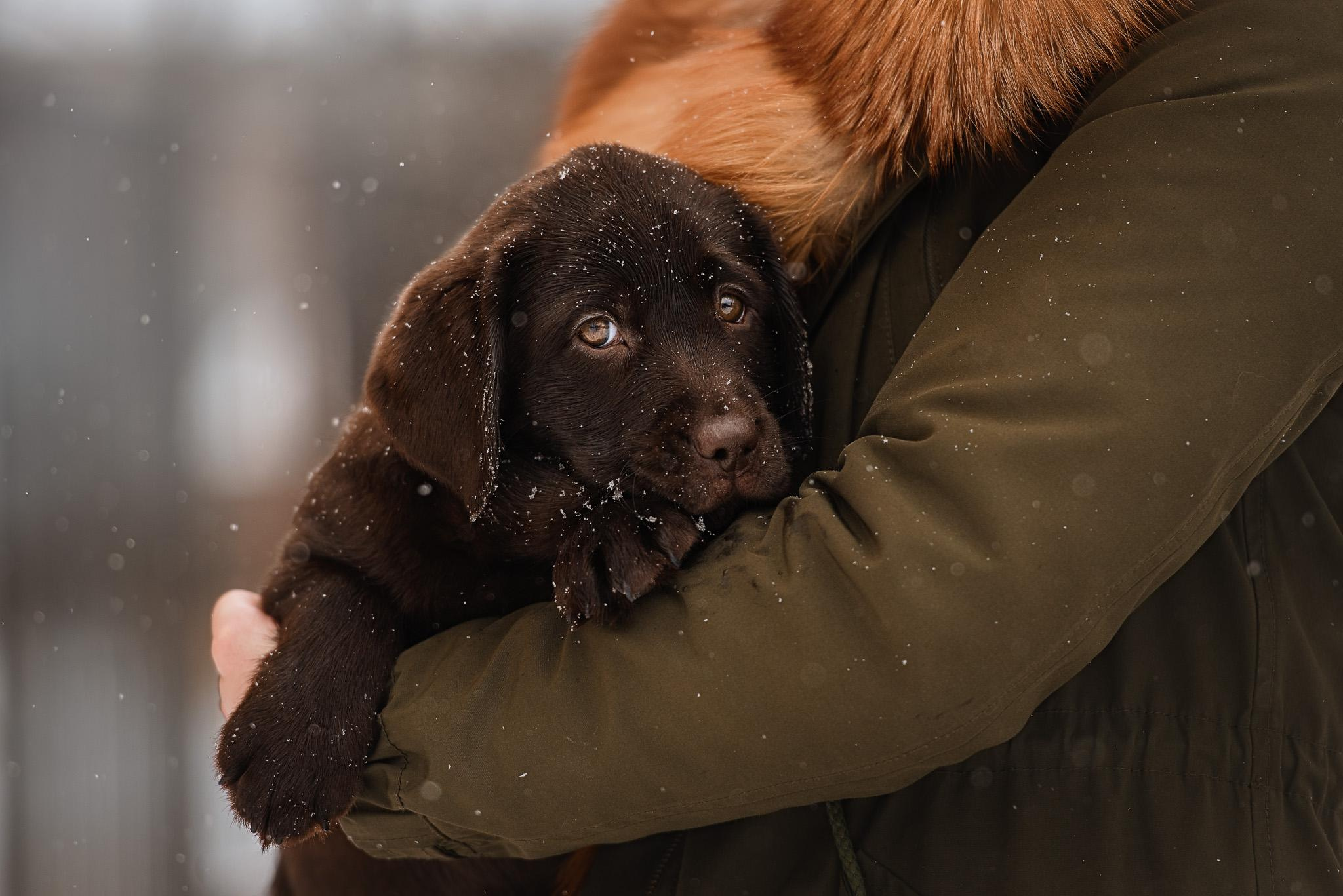 Фотограф-анималист