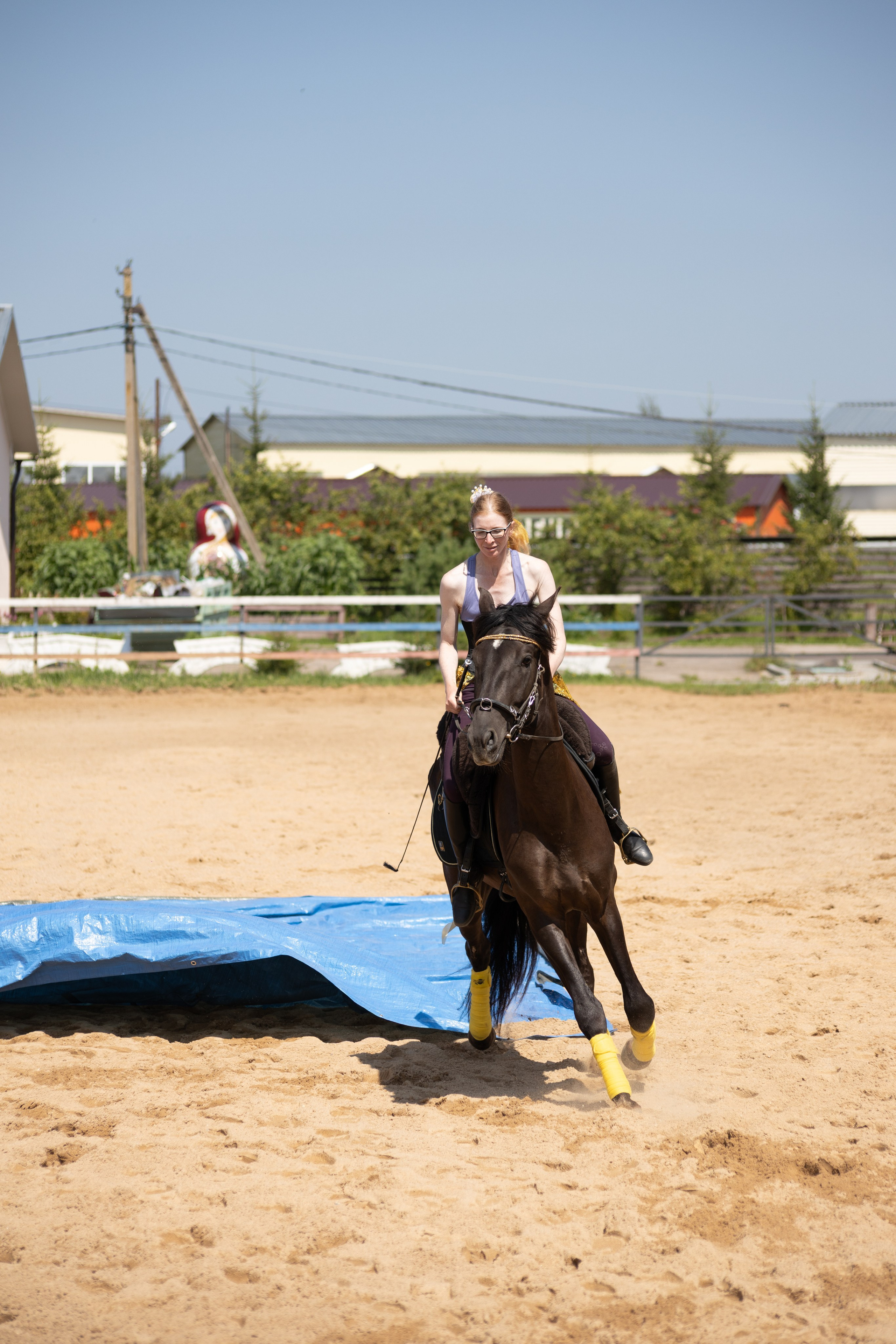 Конюшня. Фотограф в Москве и Истре