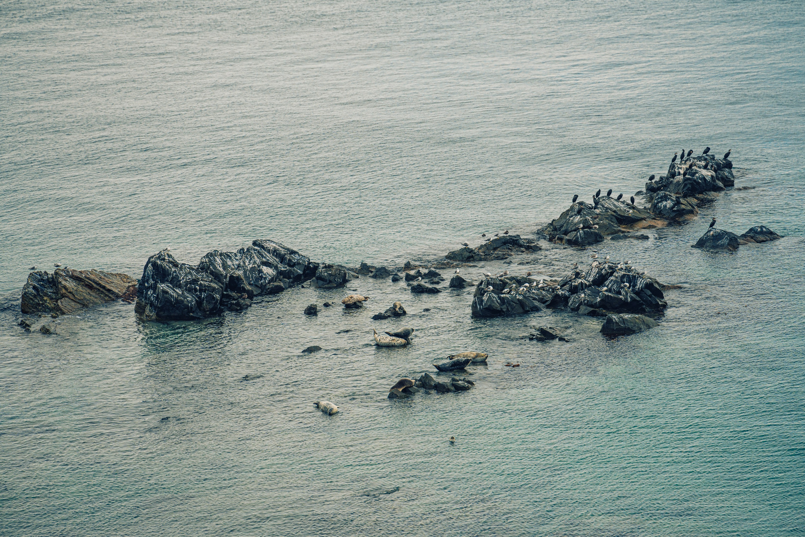Мыс Четырех Скал. Иван Зайцев (IZIART) — создание культурного кода через фото и видео