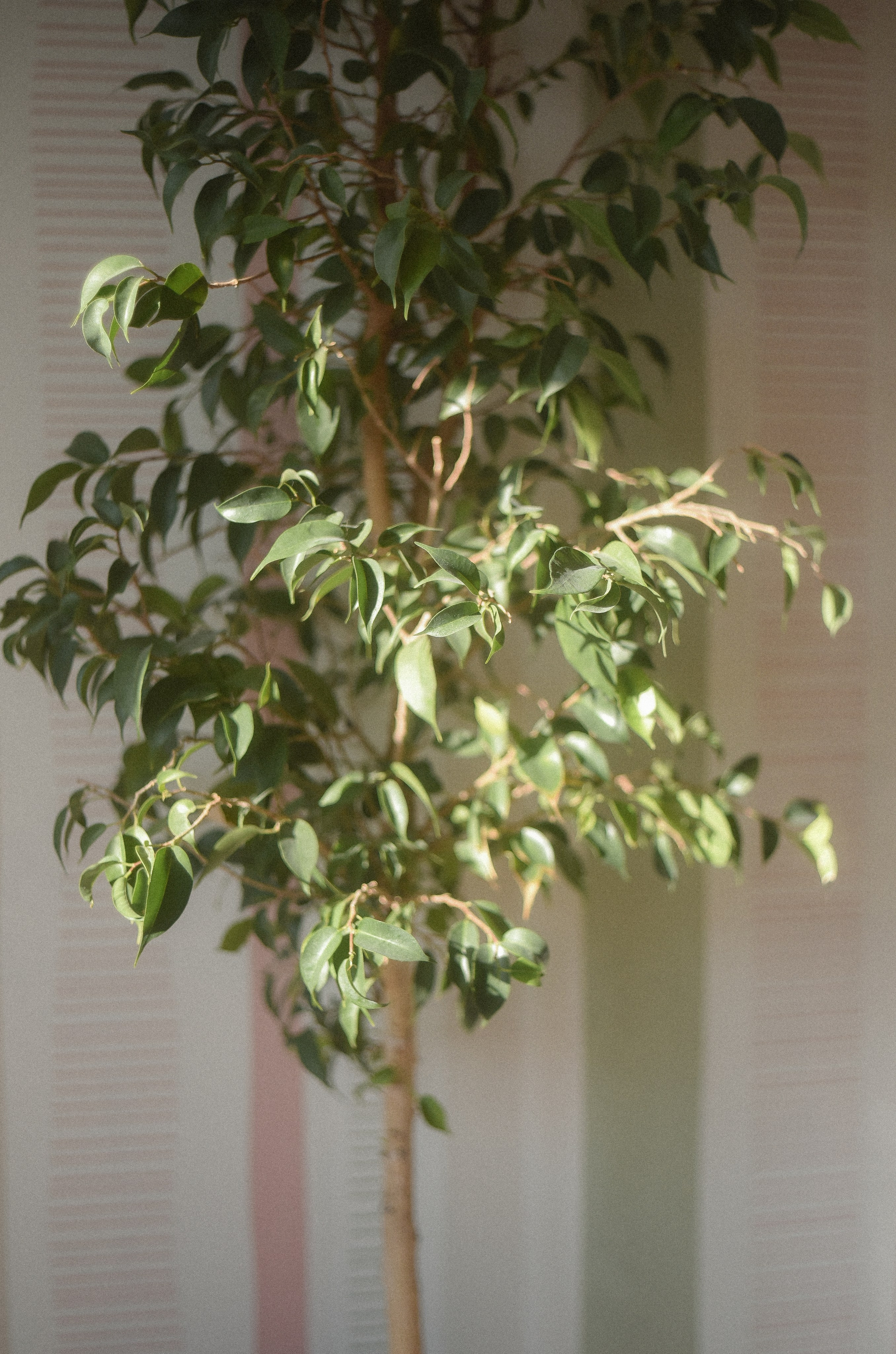 Квартира 99. Детский и семейный фотограф в Новосибирске Саша Дорошенко