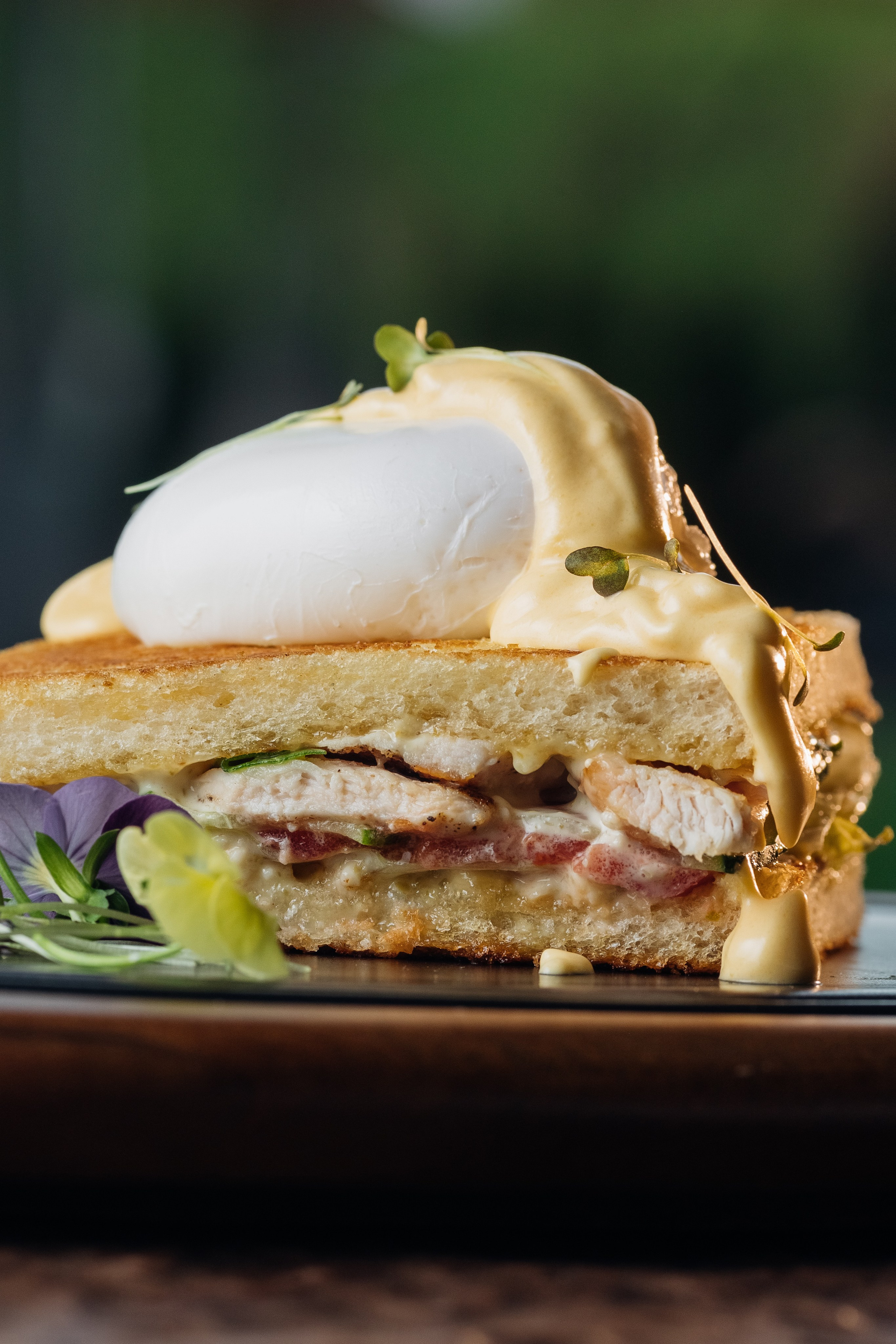 Baia. Свадебный фотограф в Нальчике Алим Джаппуев