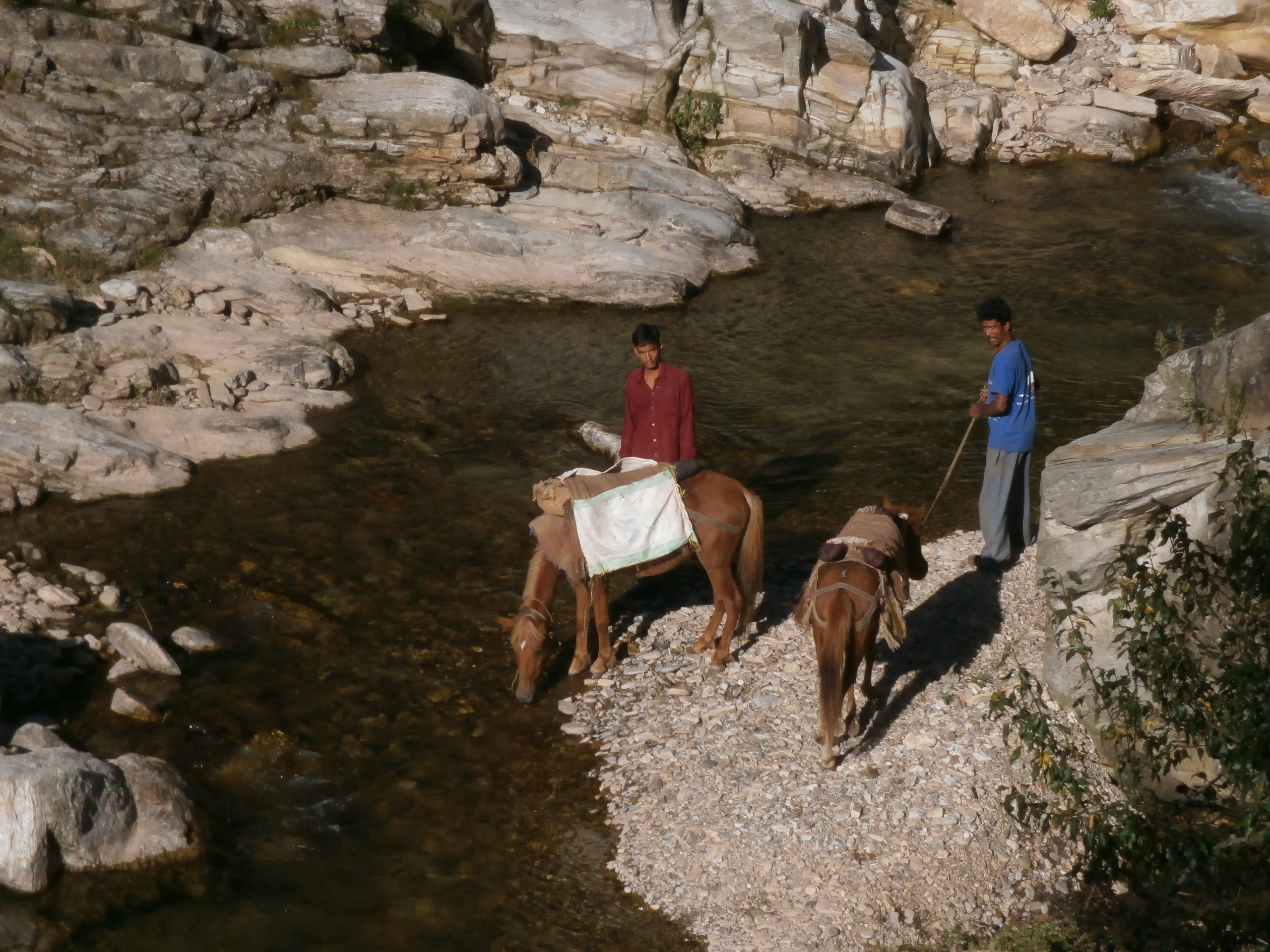 Телесные практики