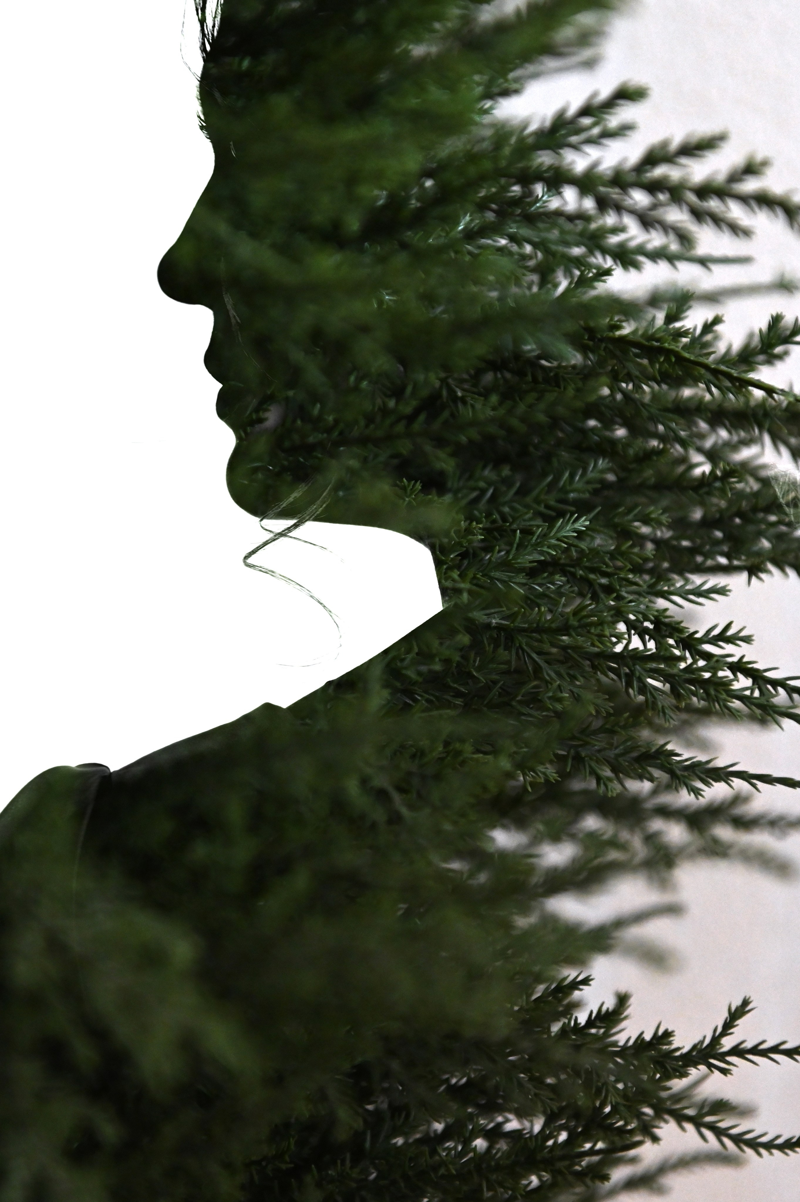 Артём и Екатерина. Фотограф Зырянова Яна, Снежинск, Екатеринбург, Челябинск