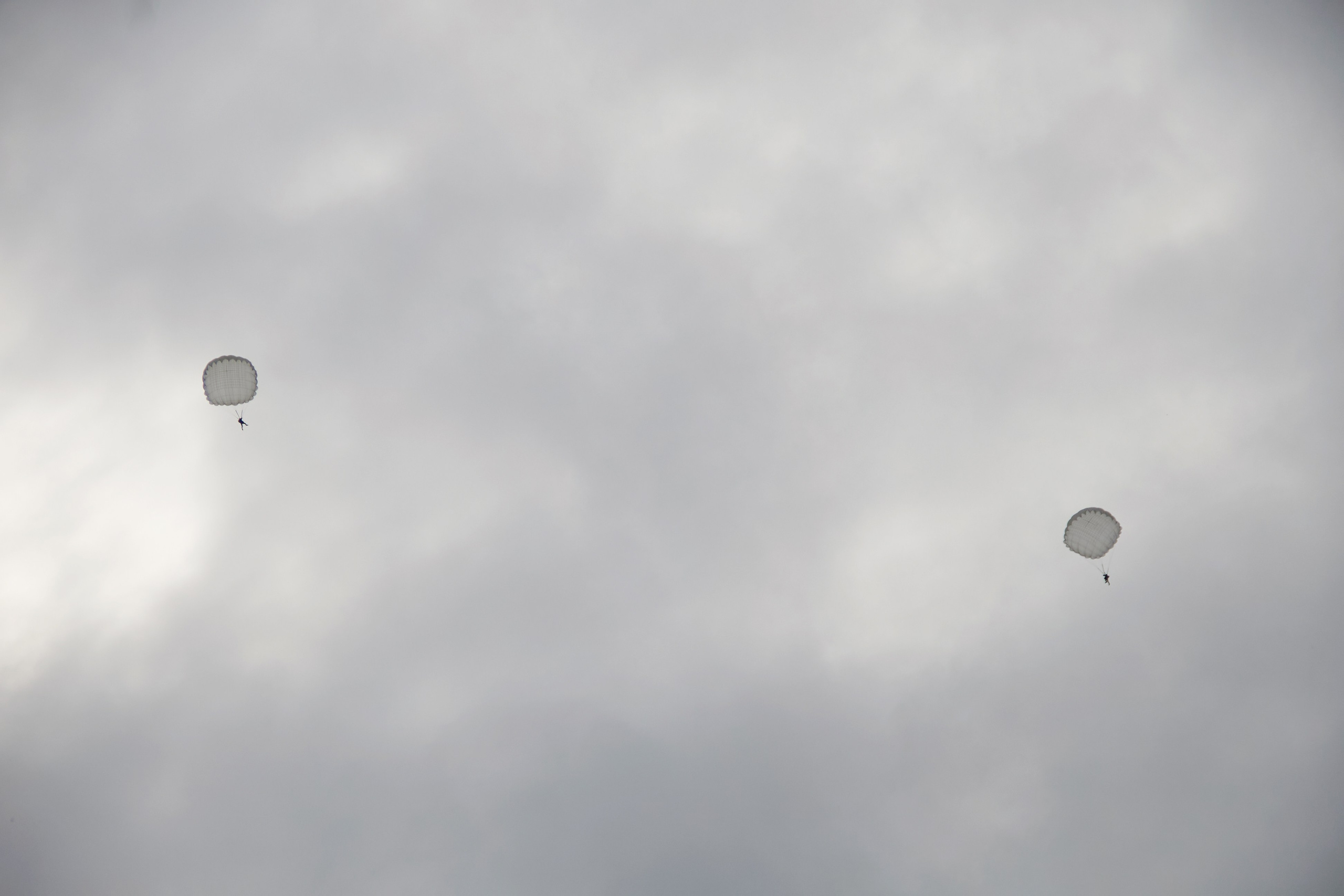 Аэроклуб SkyLine. Фотограф в Смоленске Ася Польшина