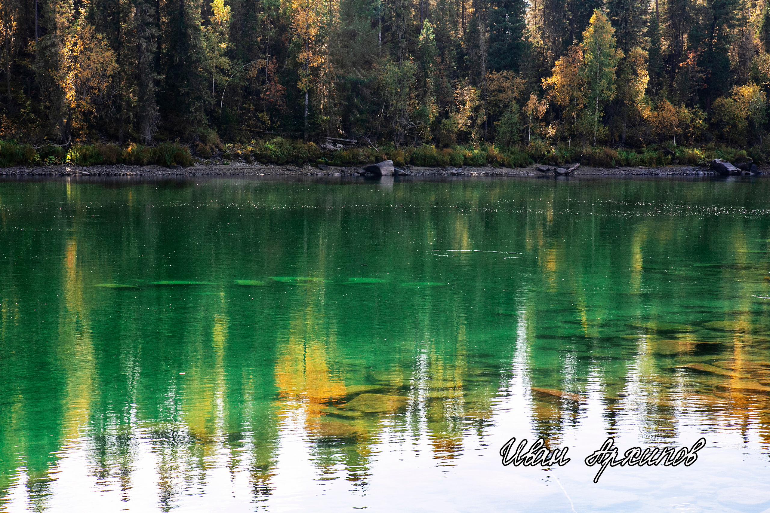Галерея моих работ. AISA Foto