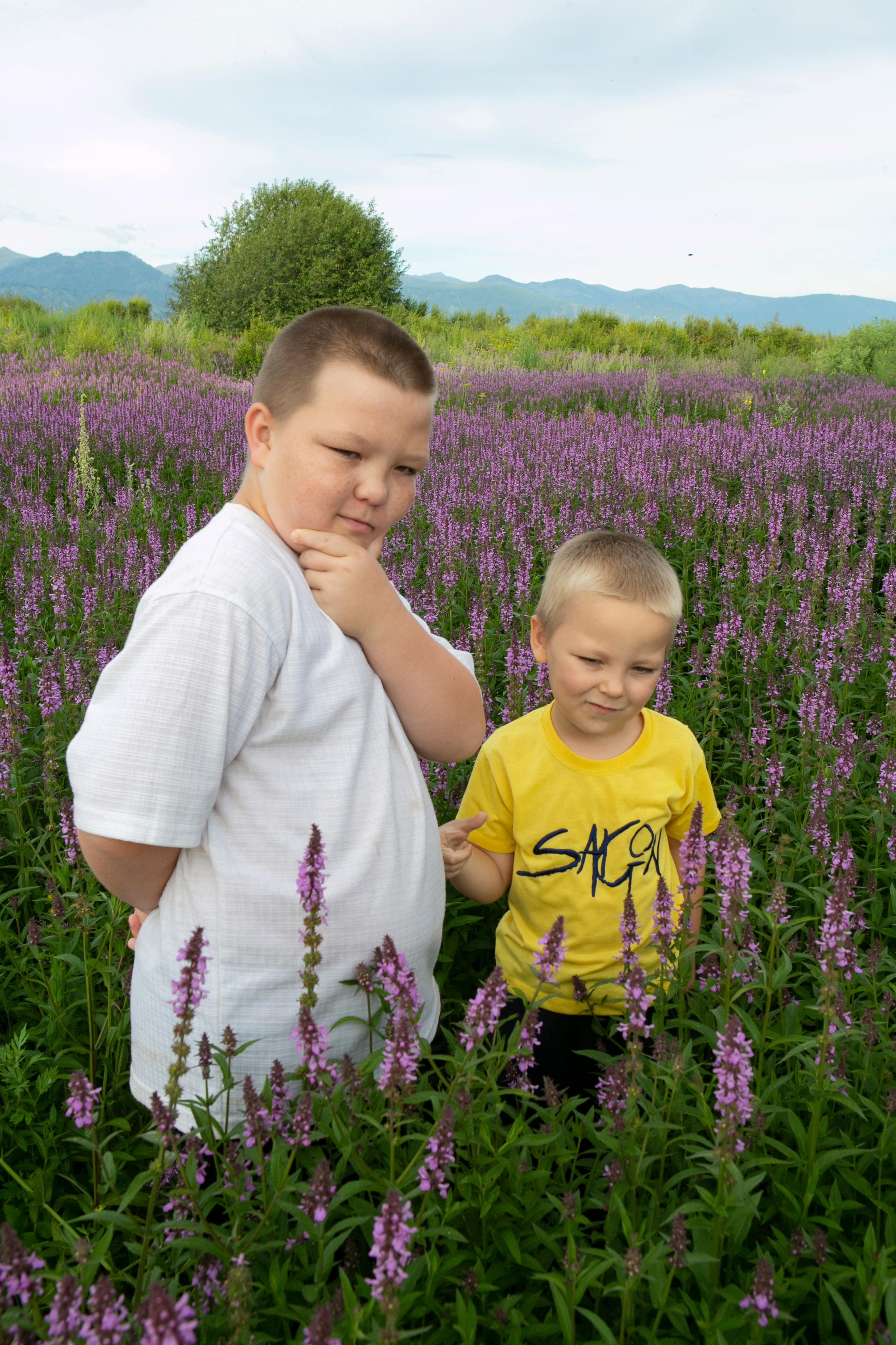 Галерея моих работ. AISA Foto