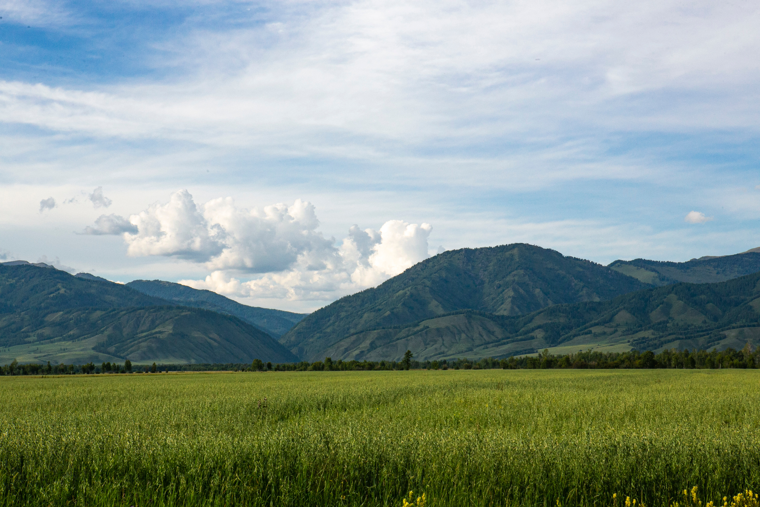 Галерея моих работ. AISA Foto