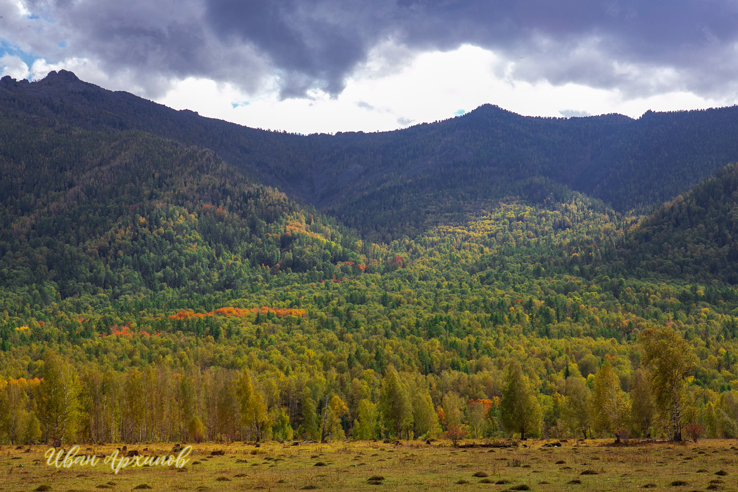 Галерея моих работ. AISA Foto