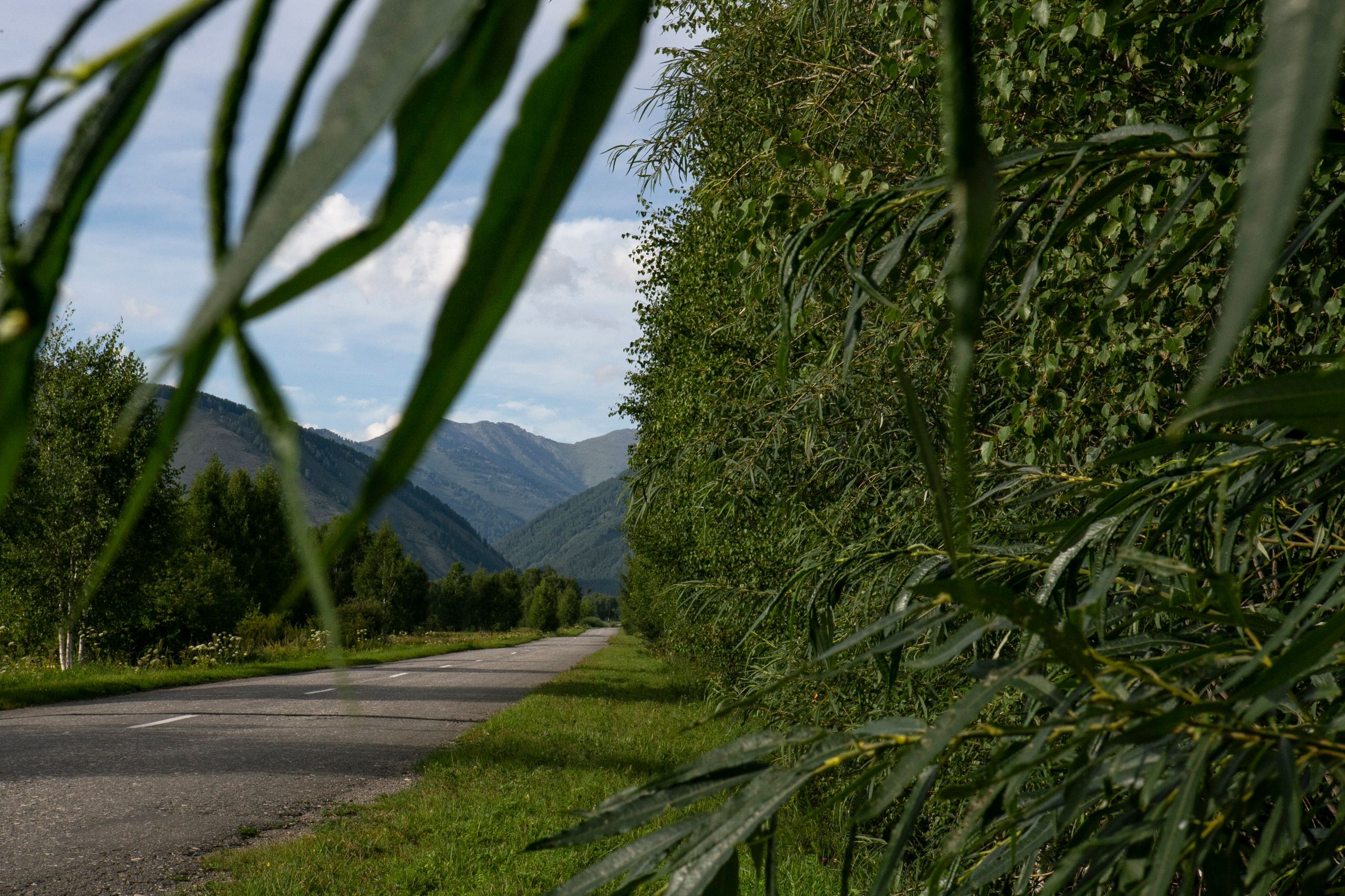 Галерея моих работ. AISA Foto