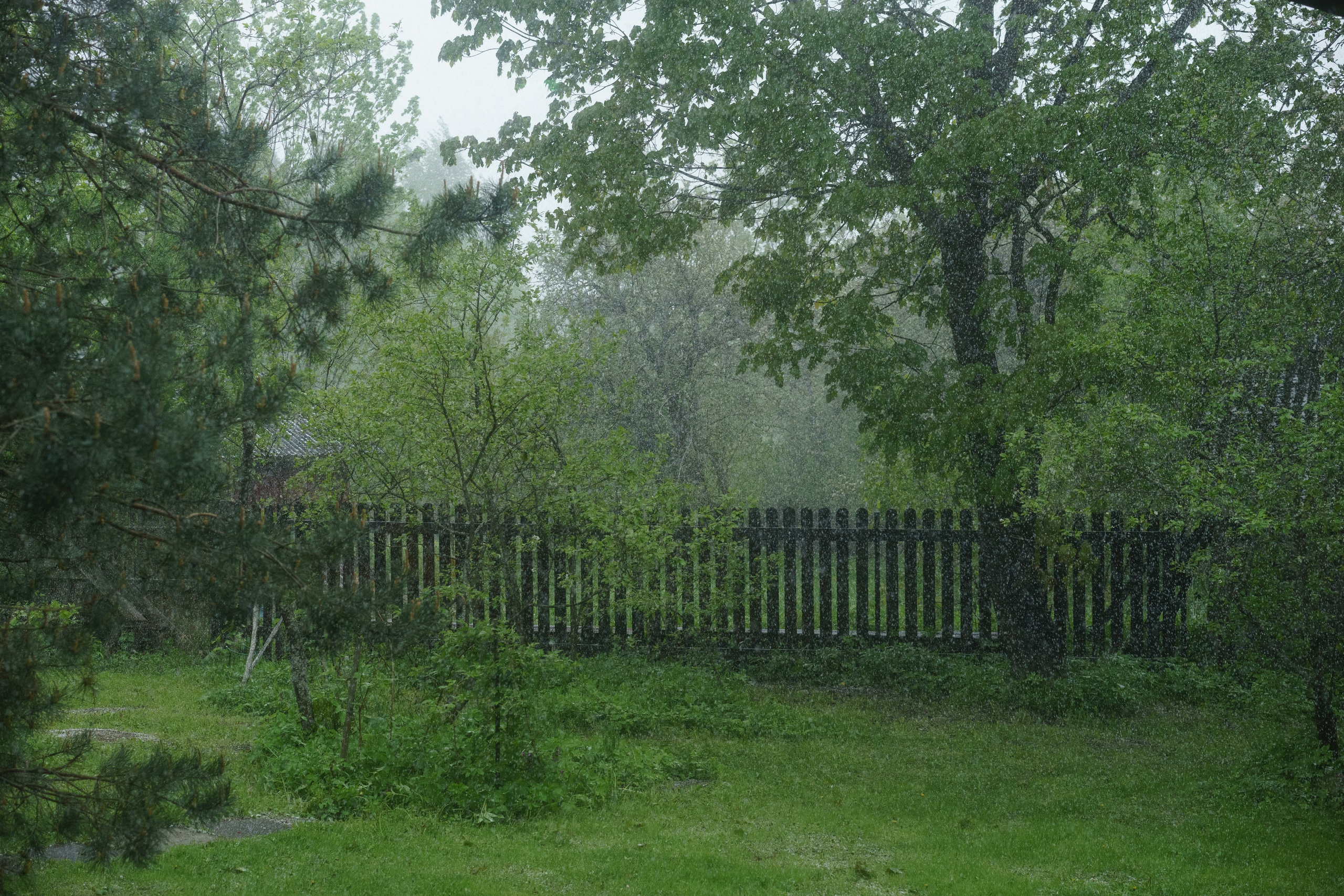 Школа счастья Ильи Даньшина. Лиза Фирстова — самый добрый фотограф