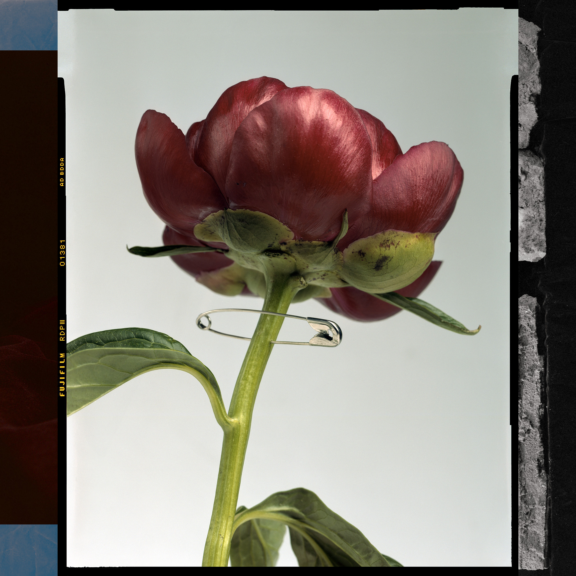 INNER CHAMBER. Valery Morozov