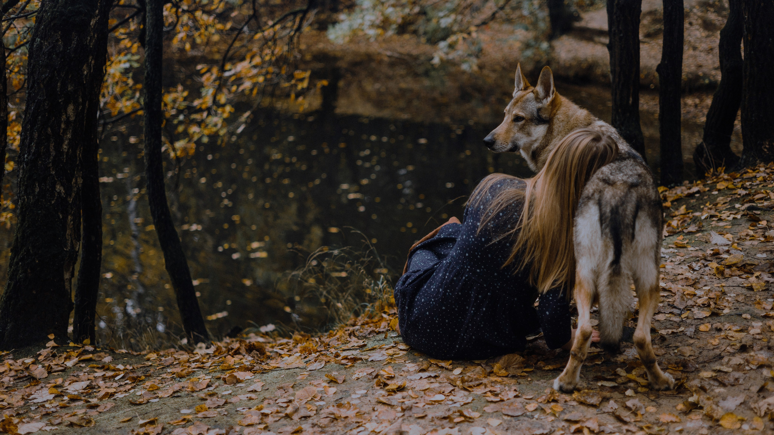 Полина и Вегард. Фотограф-анималист Богданова Полина