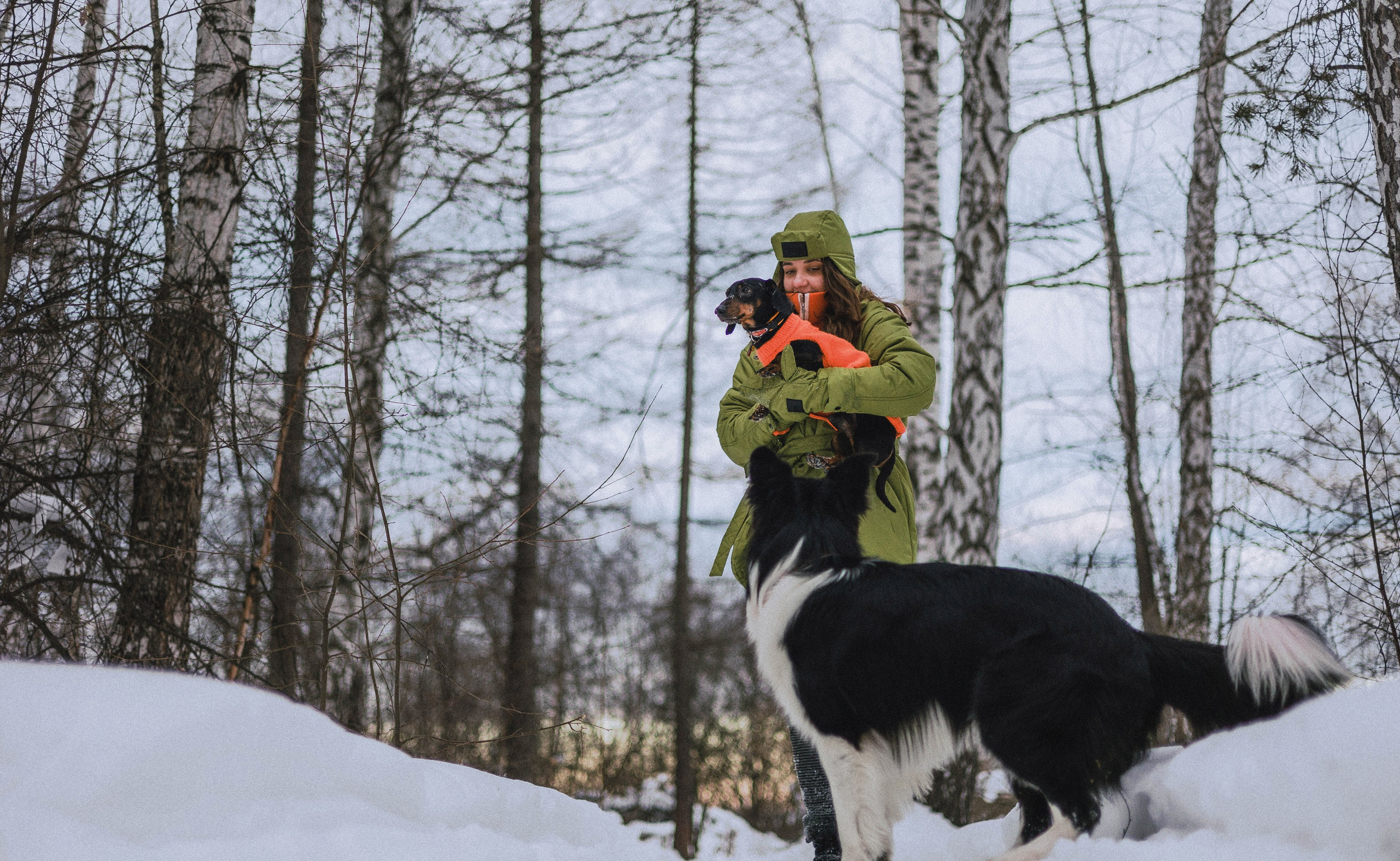 Маша, Рэм и Ньютон. Фотограф-анималист Богданова Полина