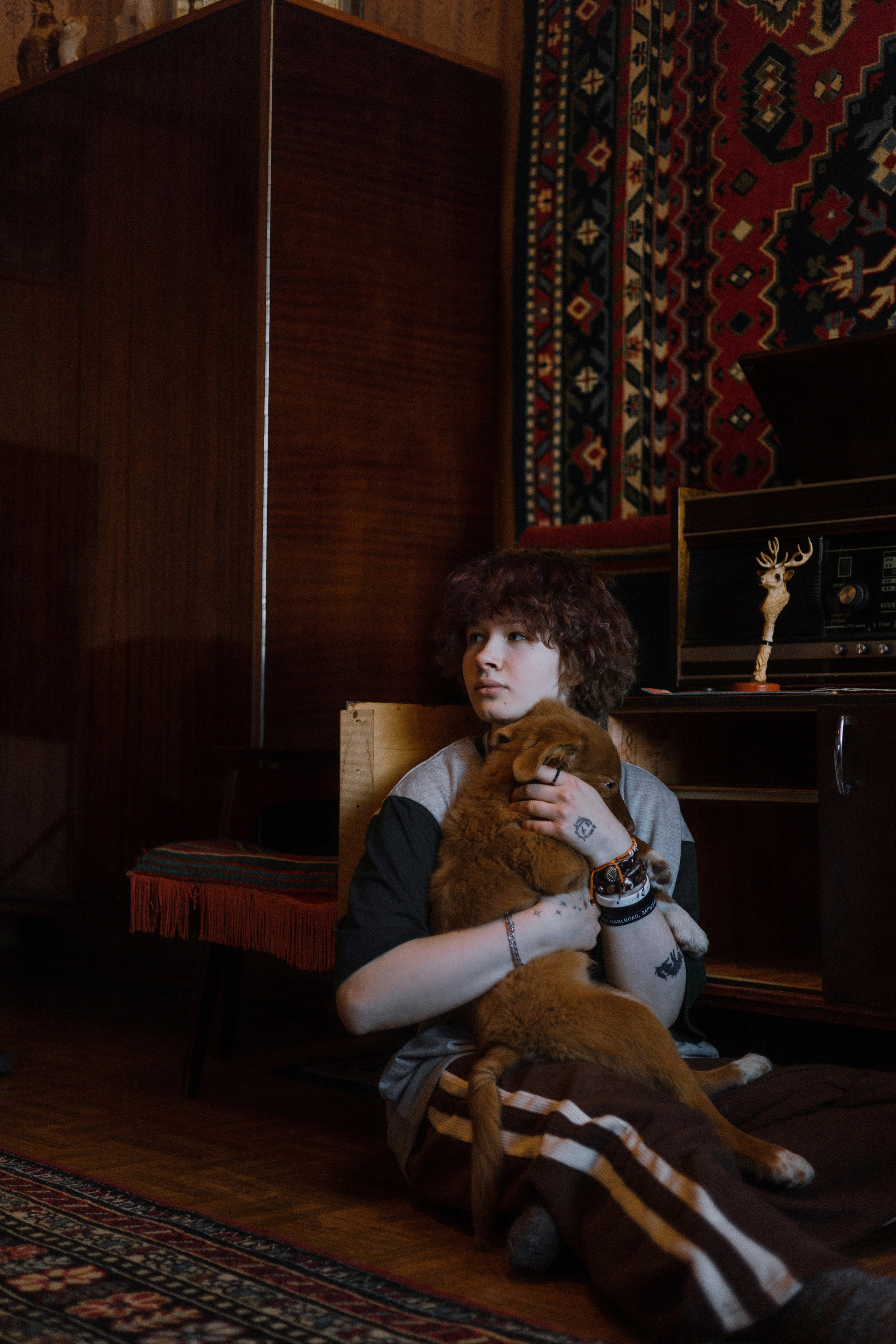 Лера, Реджи и Ральф. Фотограф-анималист Богданова Полина