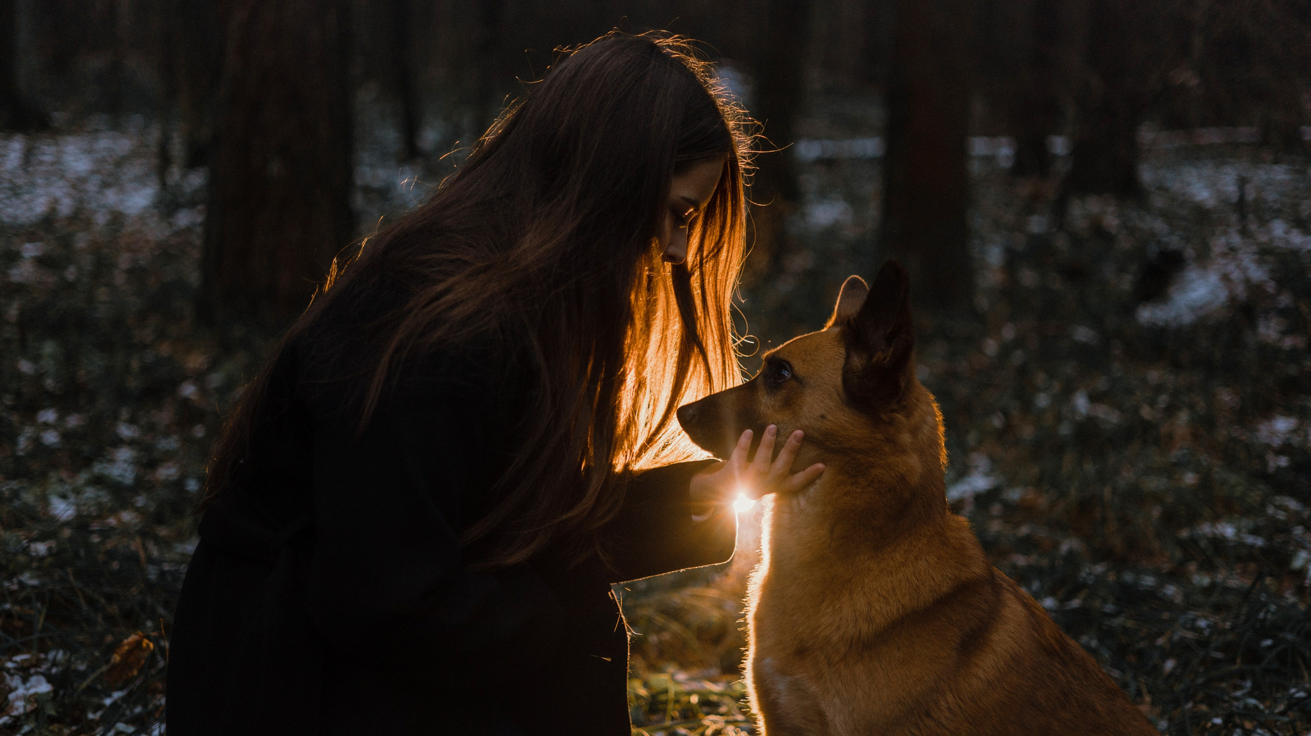 Юля, Лара и Йоми. Фотограф-анималист Богданова Полина