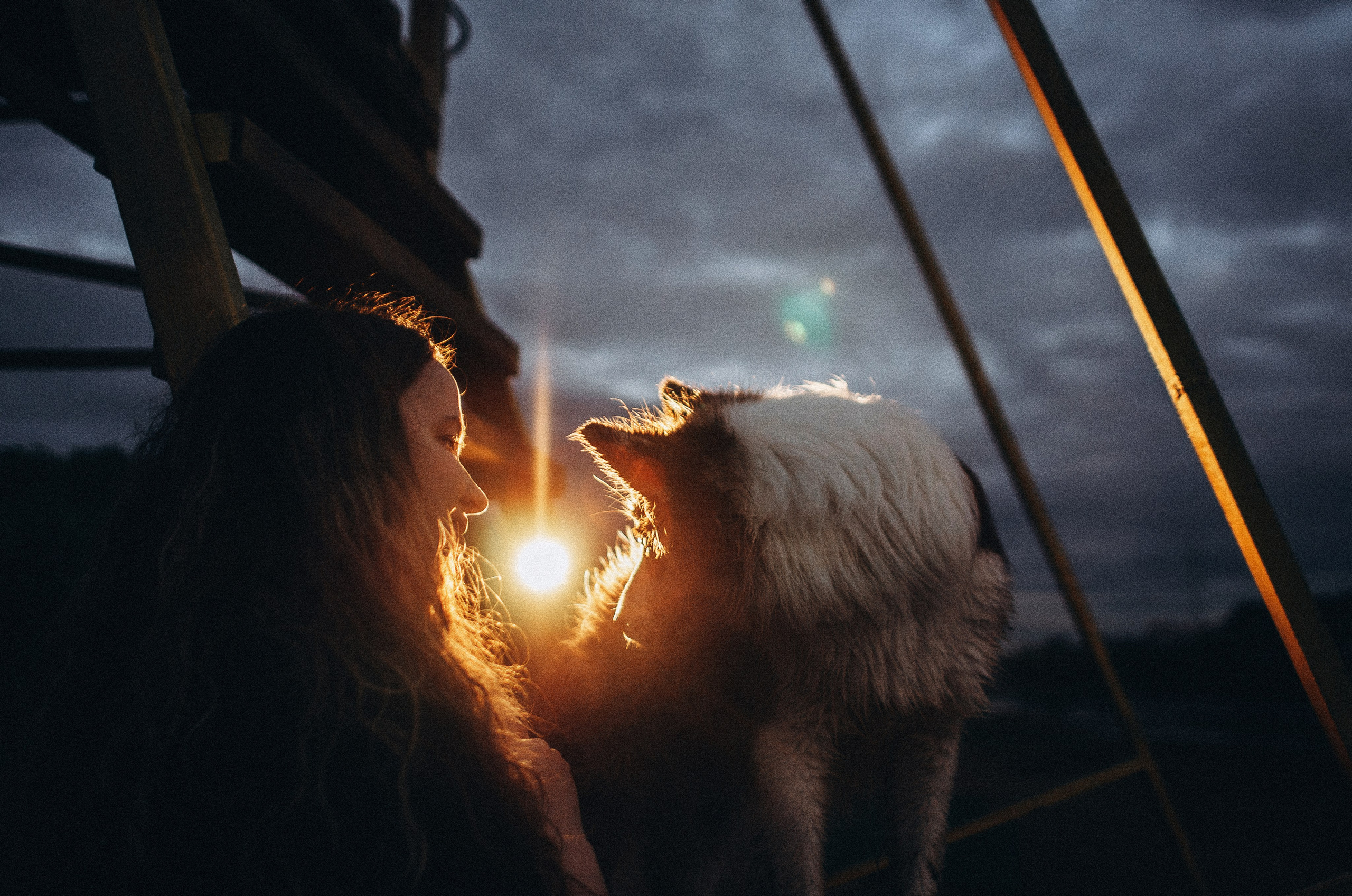 Алина и Бруна. Фотограф-анималист Богданова Полина