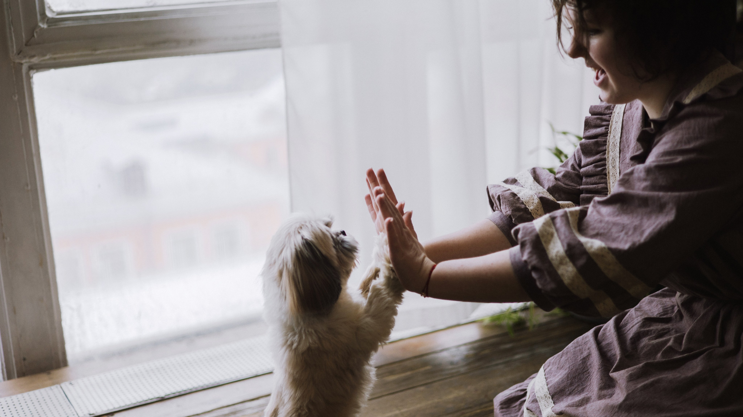 Ирина и Винни. Фотограф-анималист Богданова Полина
