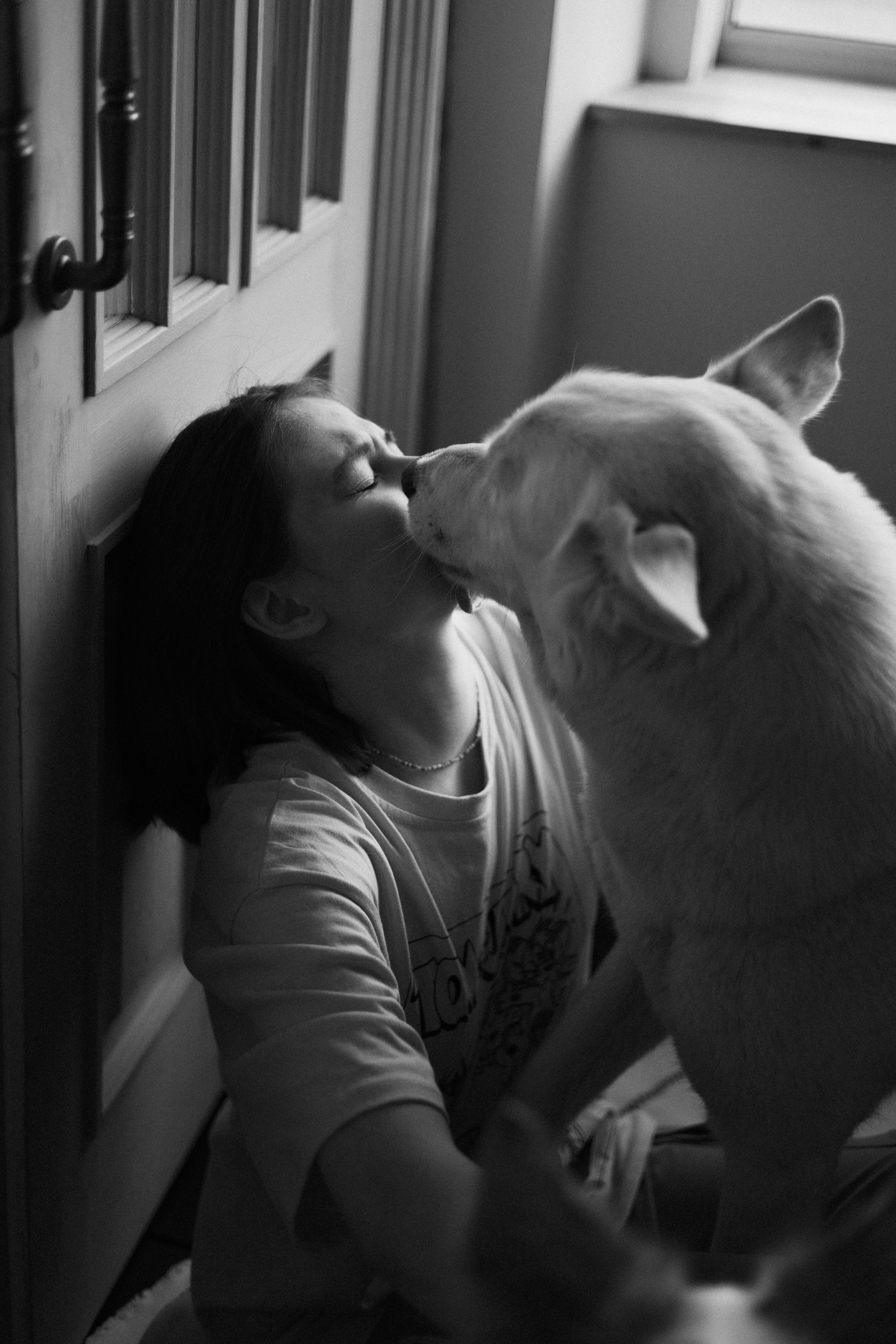 Аня, Дэймон и Грэй. Фотограф-анималист Богданова Полина