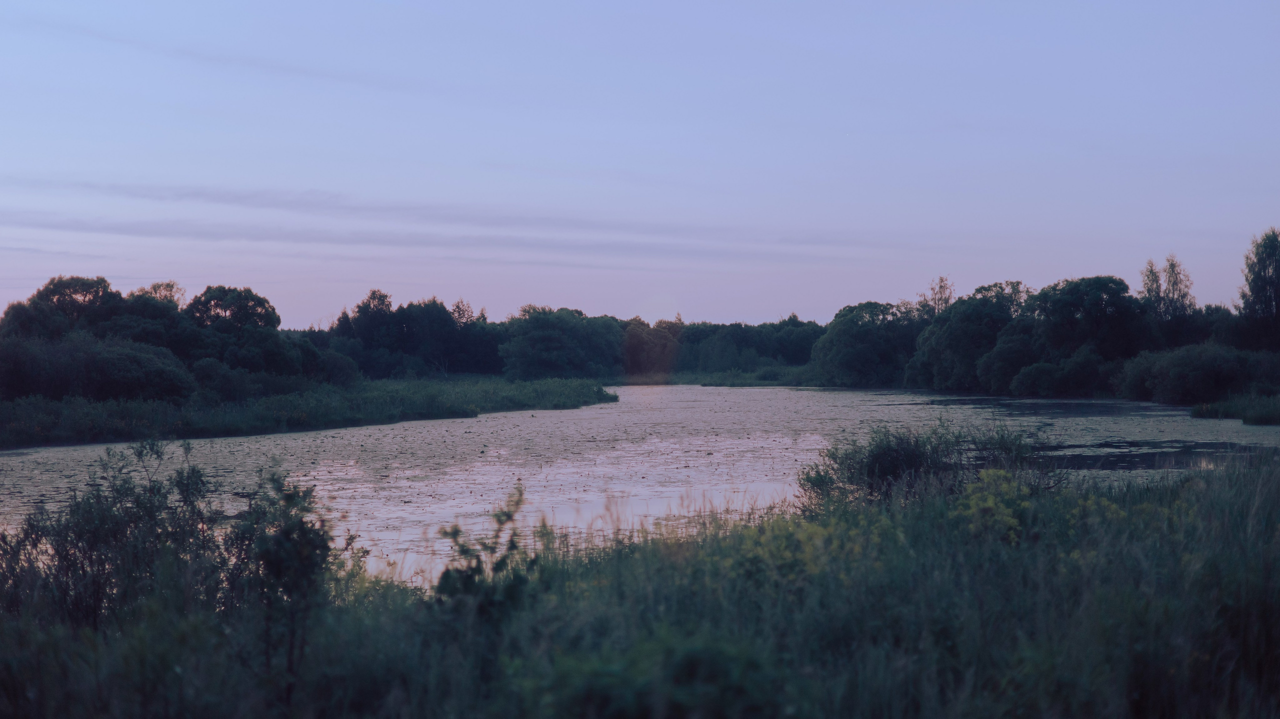 Маша и Дэрил. Фотограф-анималист Богданова Полина