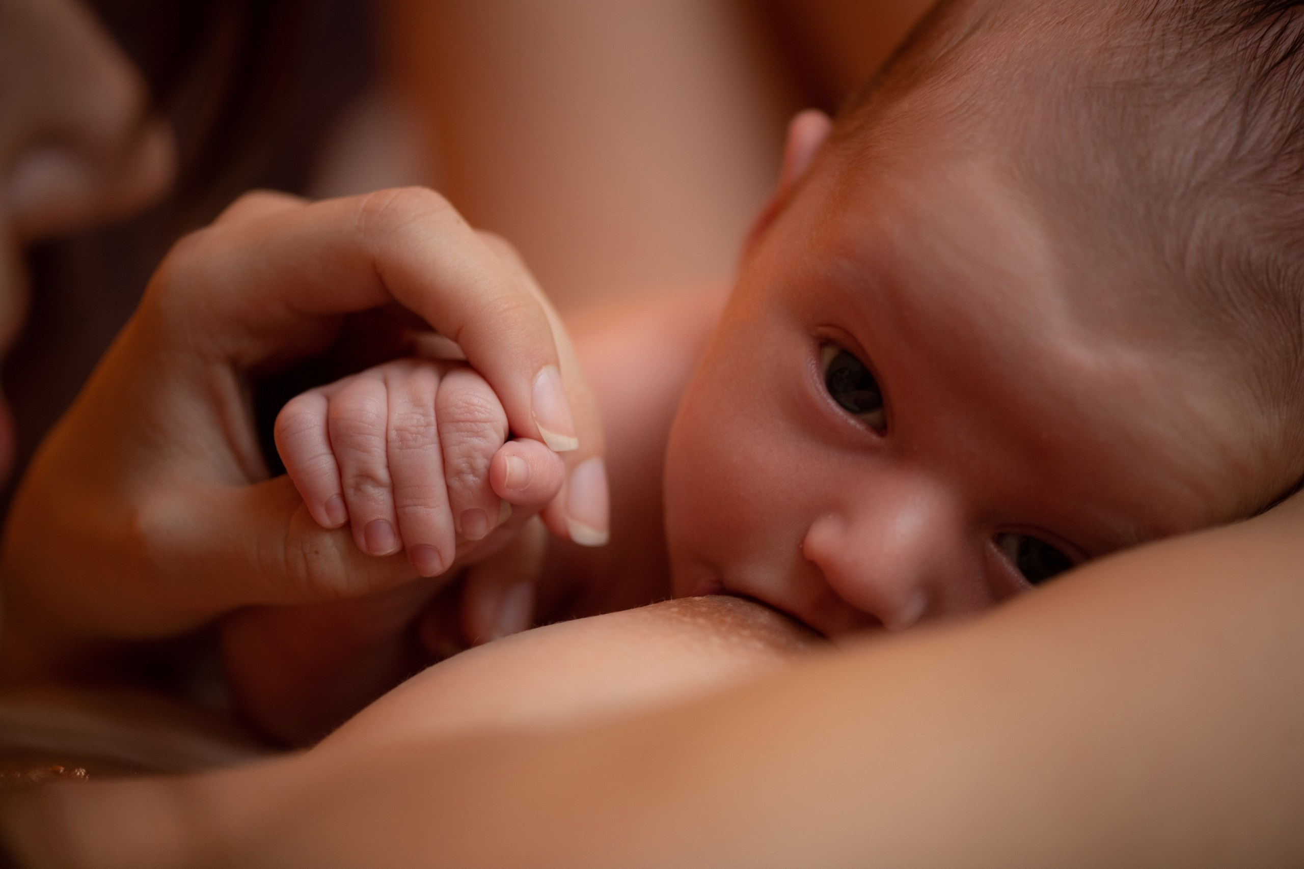 Семейная домашняя фотосессия. Фотосессия беременности — Крылова Натали — Москва