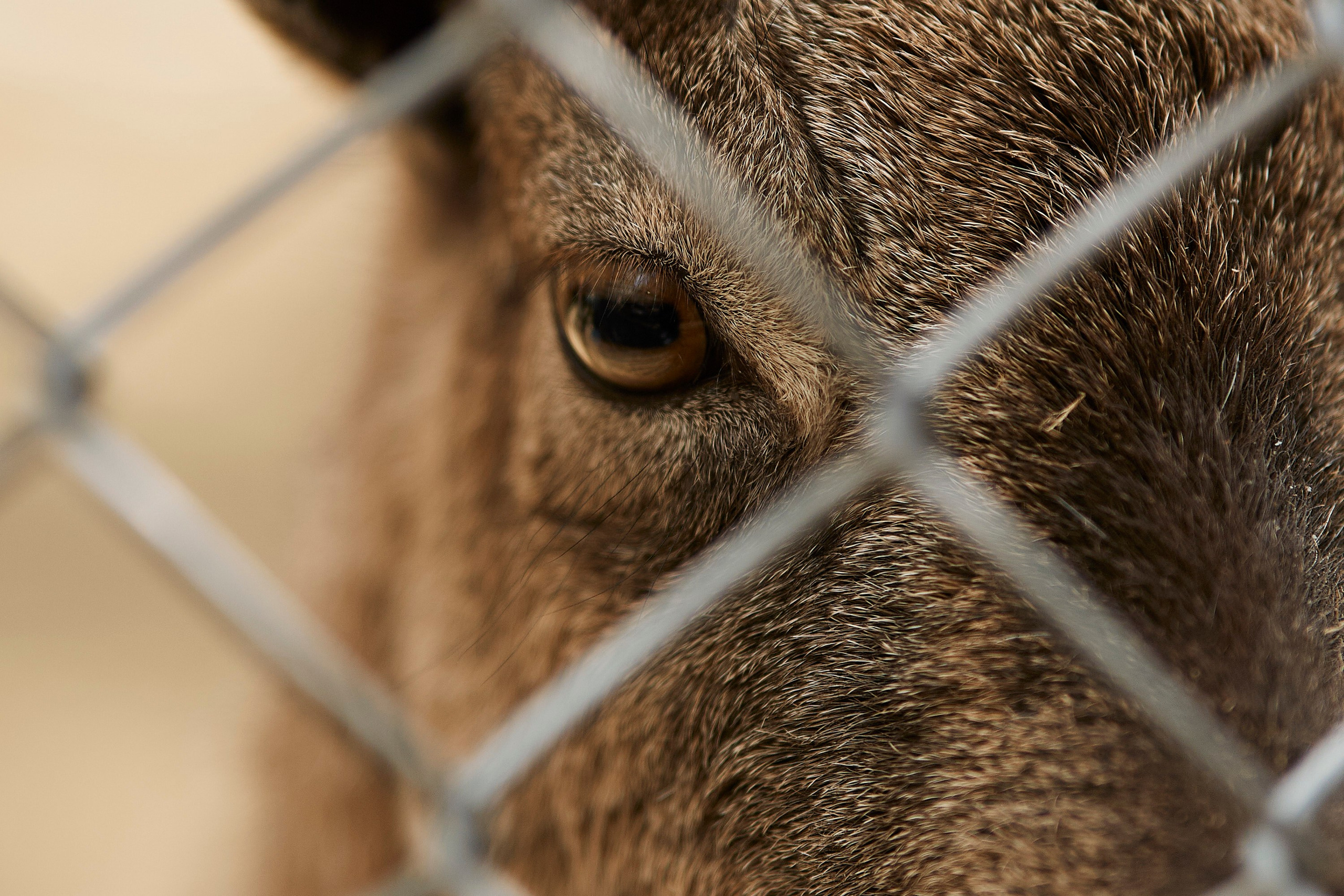 Репортаж. Общее портфолио. Валитов Тимур | Репортажный фотограф