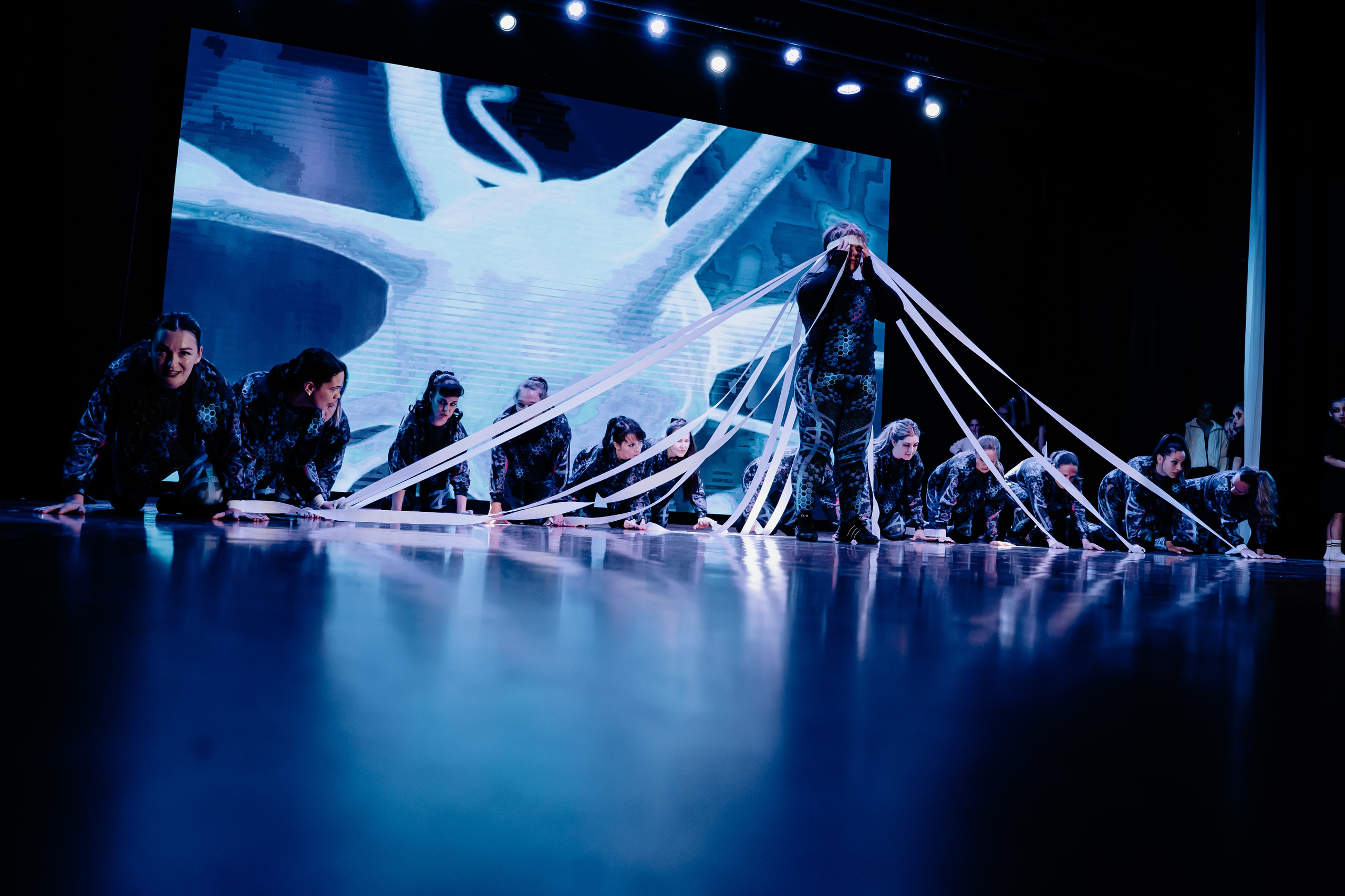 Концертная форма. Фото