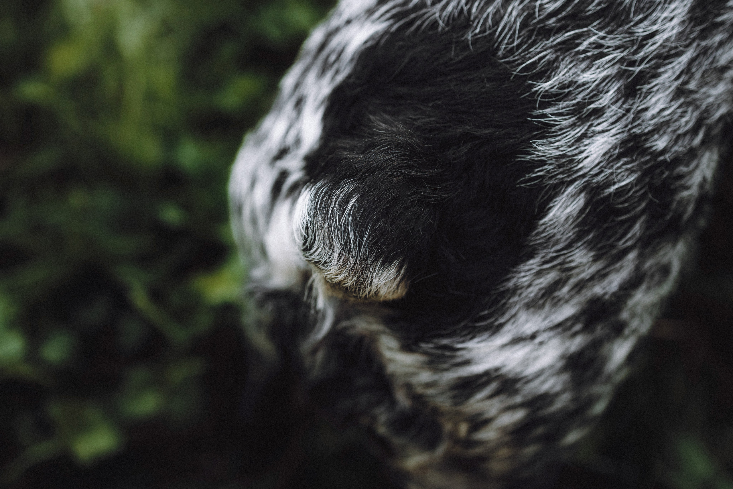 Маша и Ларри