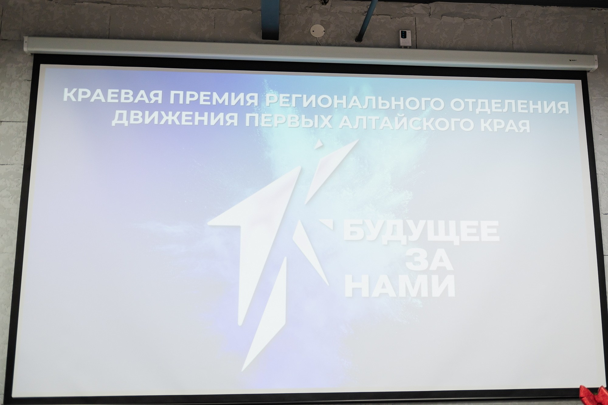 Краевая премия регионального отделения Движения Первых. Свадебный и репортажный фотограф Никита Сницарев в Барнауле