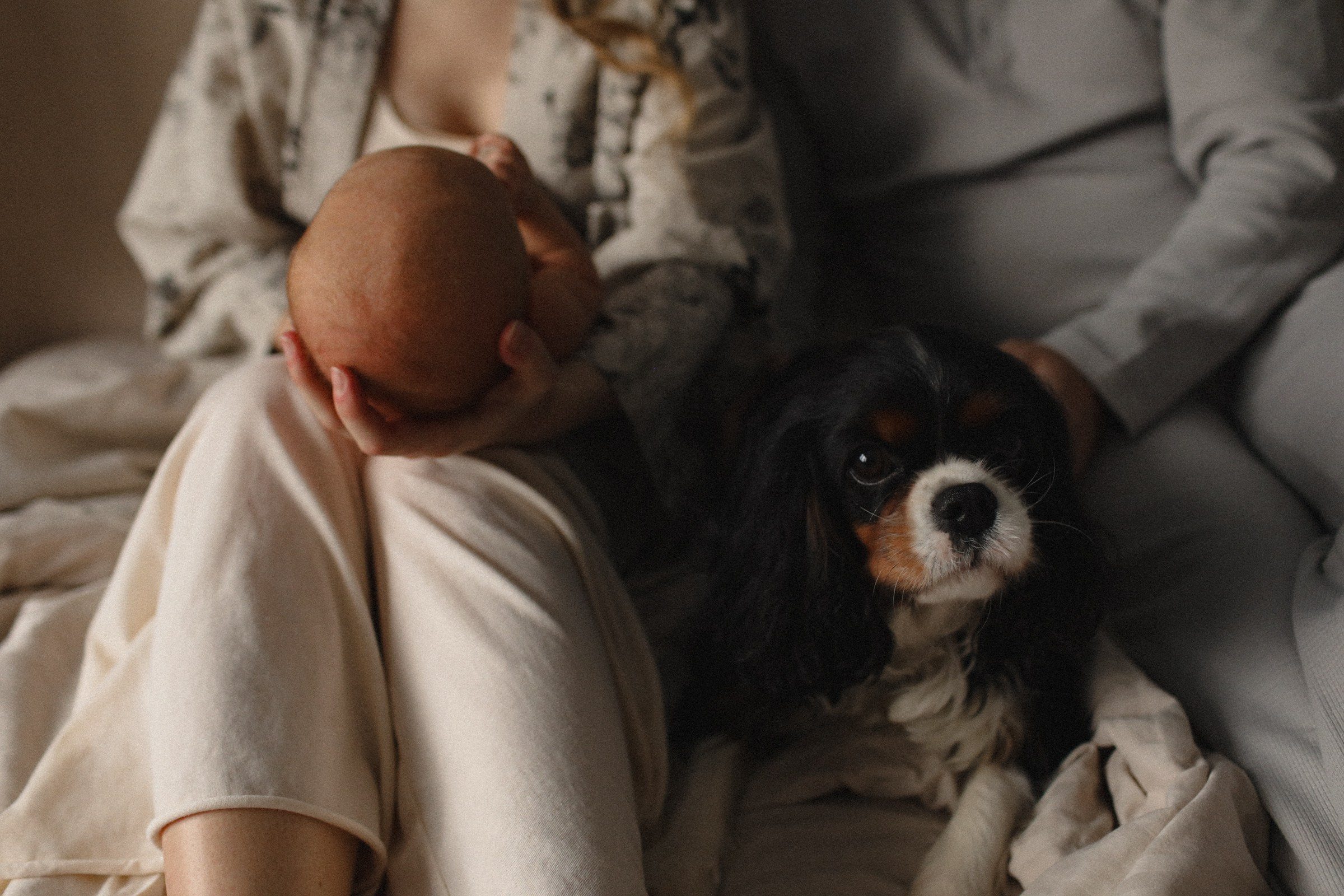 Большой человек. Семейный фотограф в Москве Алевтина Носова