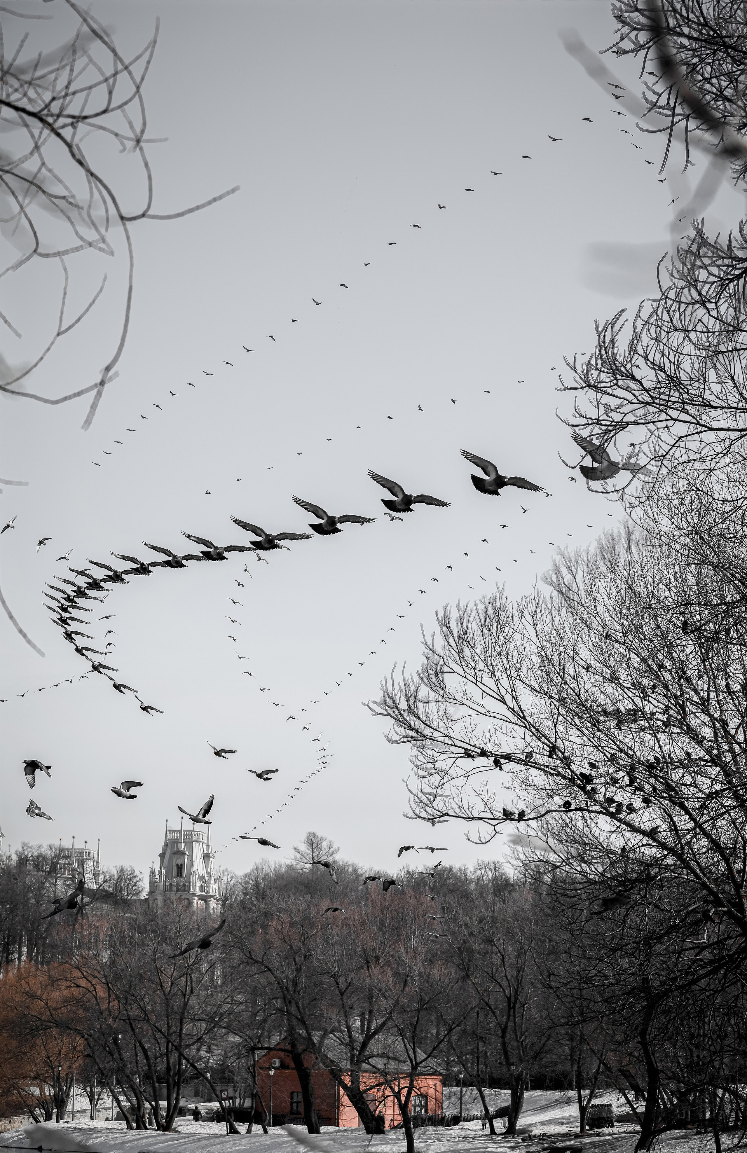 Мультимедийный проект «Траектория мегаполиса». Павел Иванов — фотохудожник