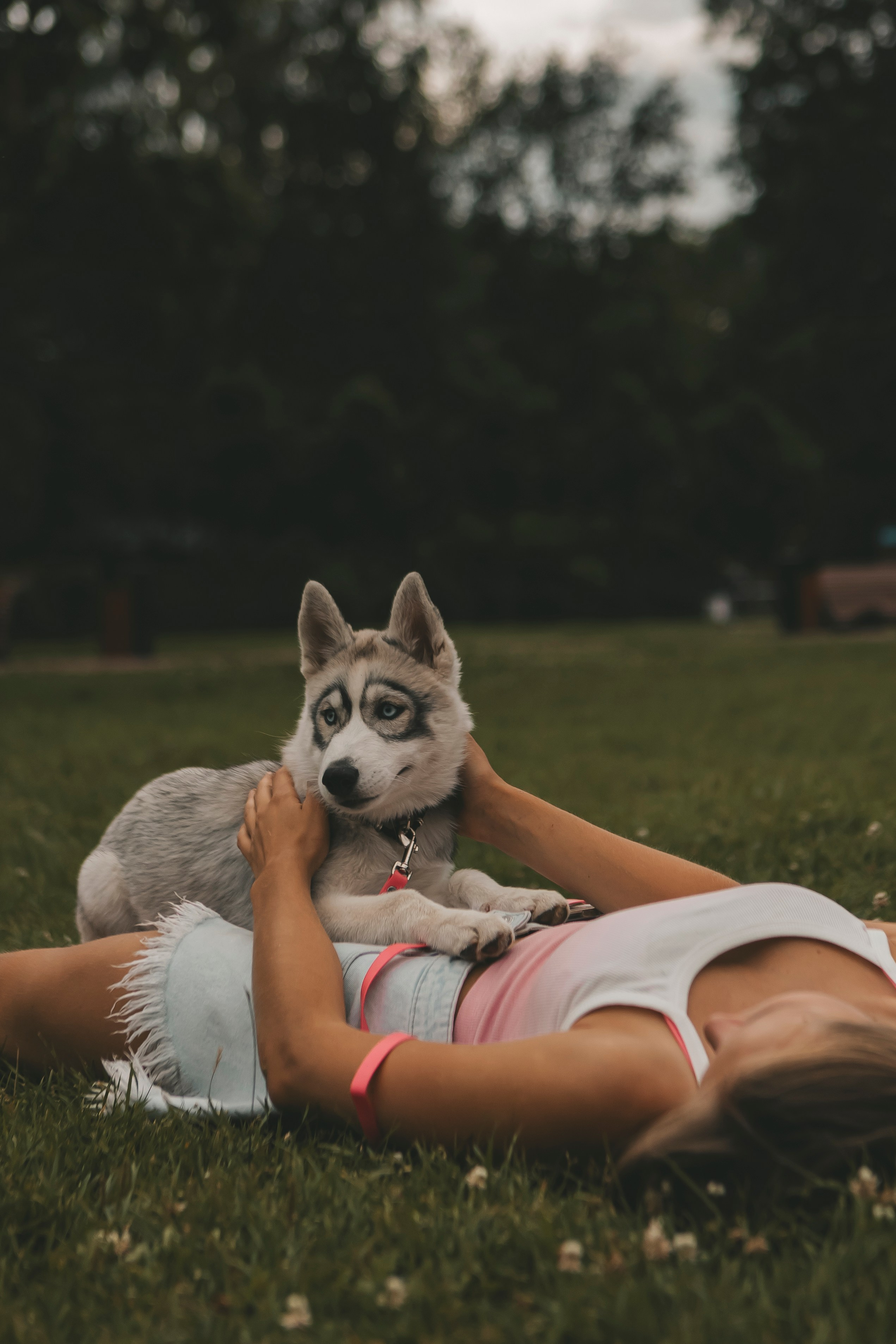 Милана и Белка. Фотограф-анималист в Санкт-Петербурге Алина Яхонт