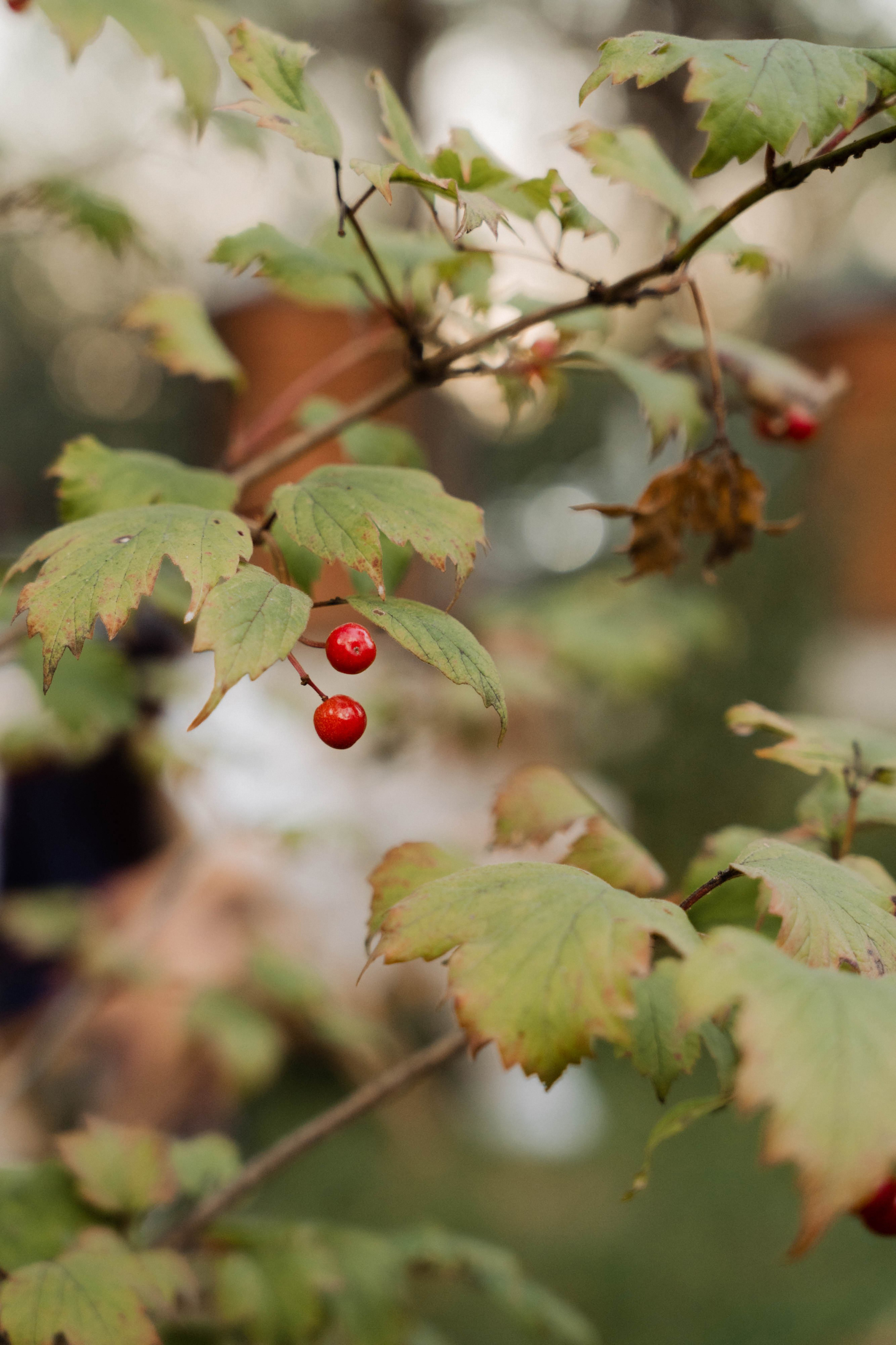 Встреча в «Робине» Переделкино. ФОТОГРАФ КСЕНИЯ СОСНОВСКАЯ