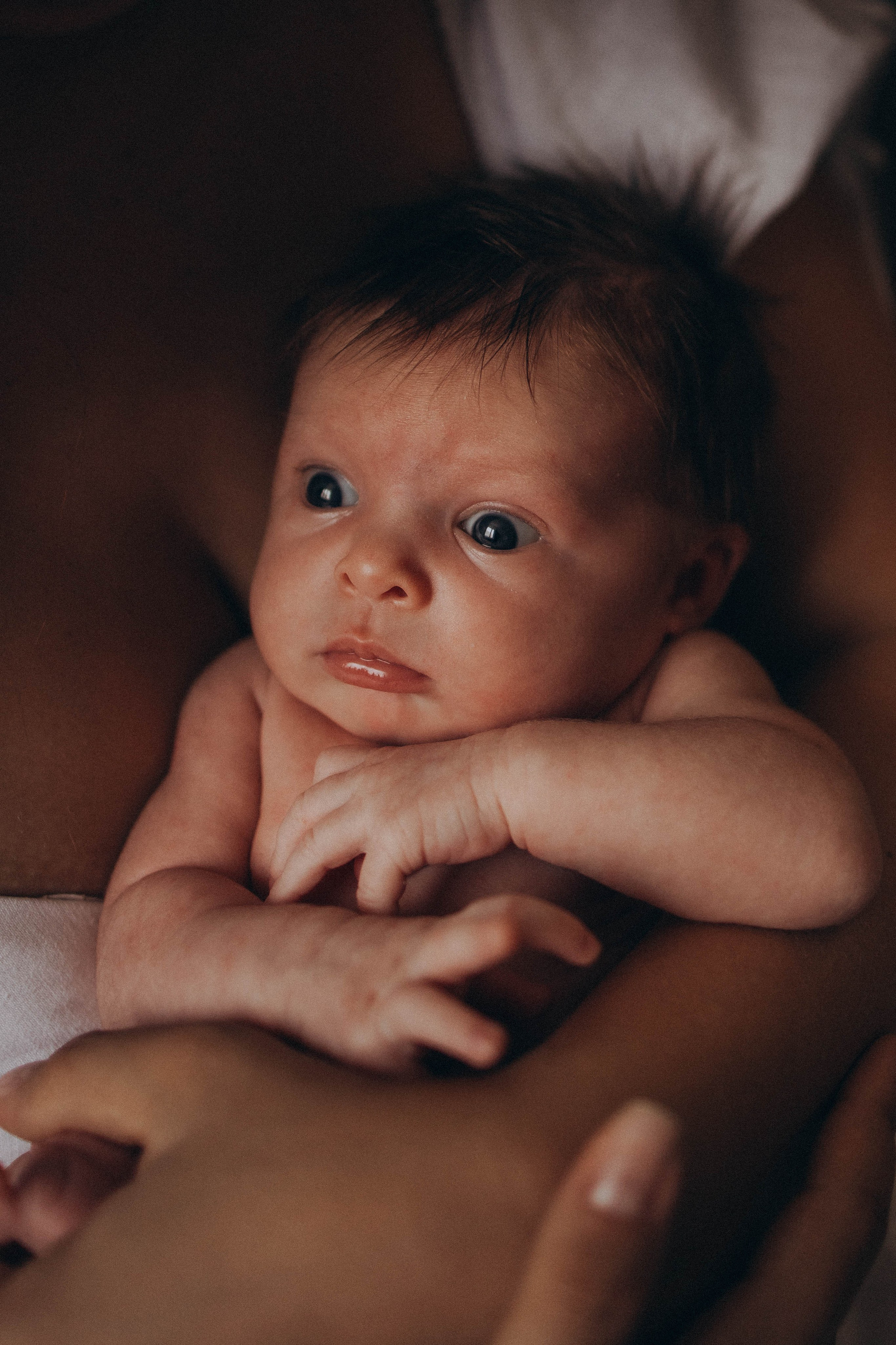 Саша Аня и Василиса. Фотограф lifestylе в Москве Пшеничная Анастасия