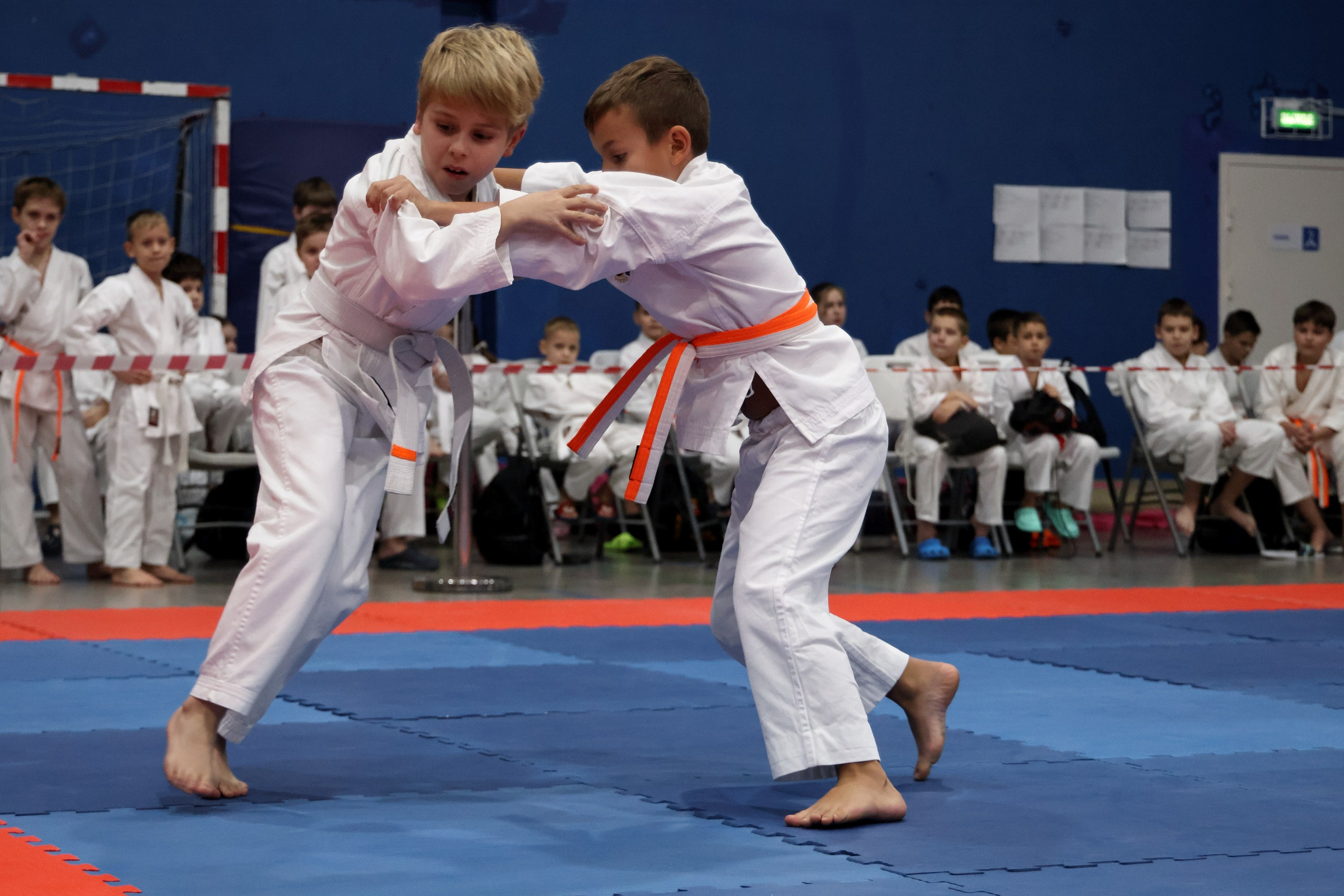 Чемпионат по Окинава Каратэ (Тэгуми). Спортивный и репортажный фотограф Ермакова Светлана