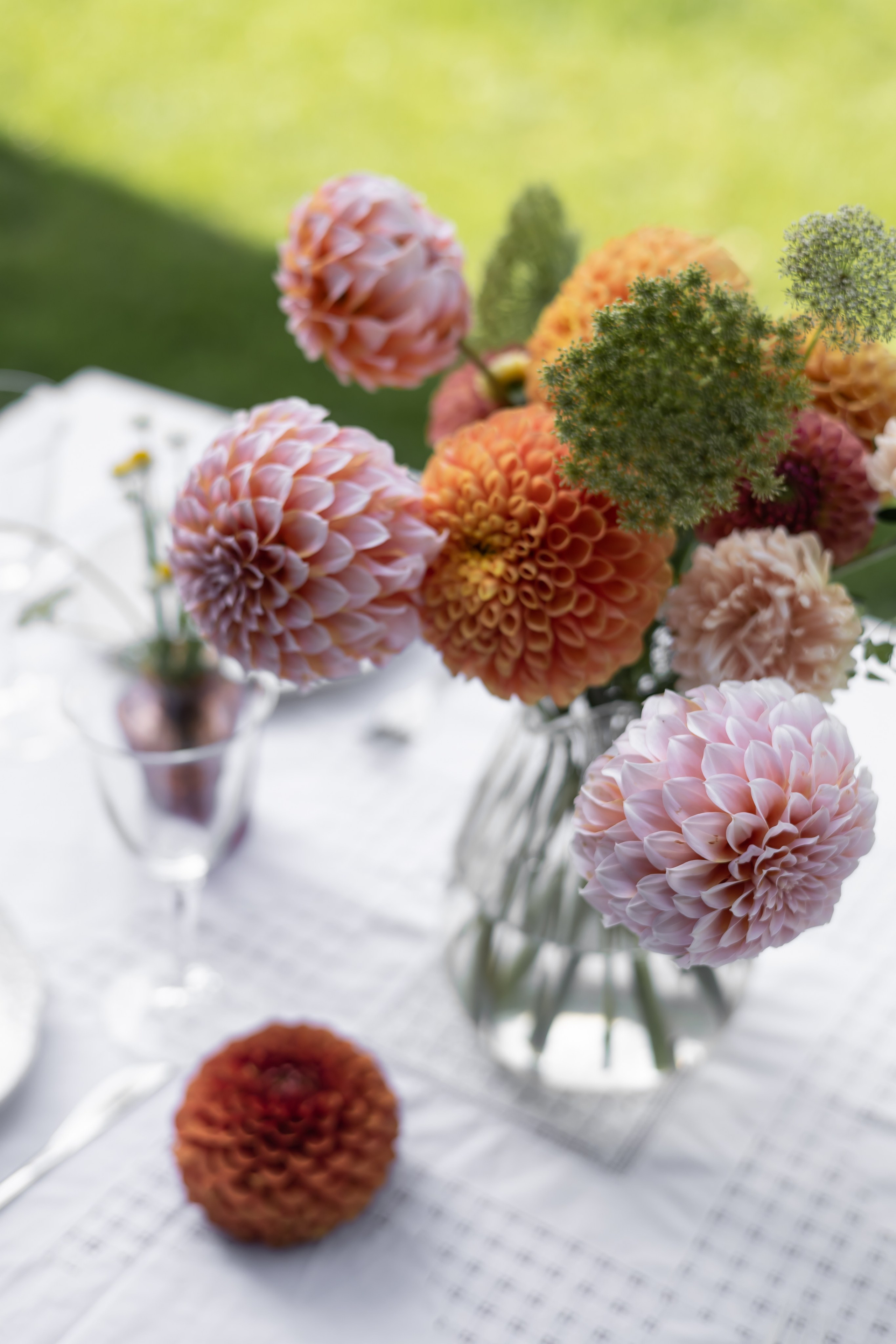 ДИНИЯ. Фотограф Элла Ефимова