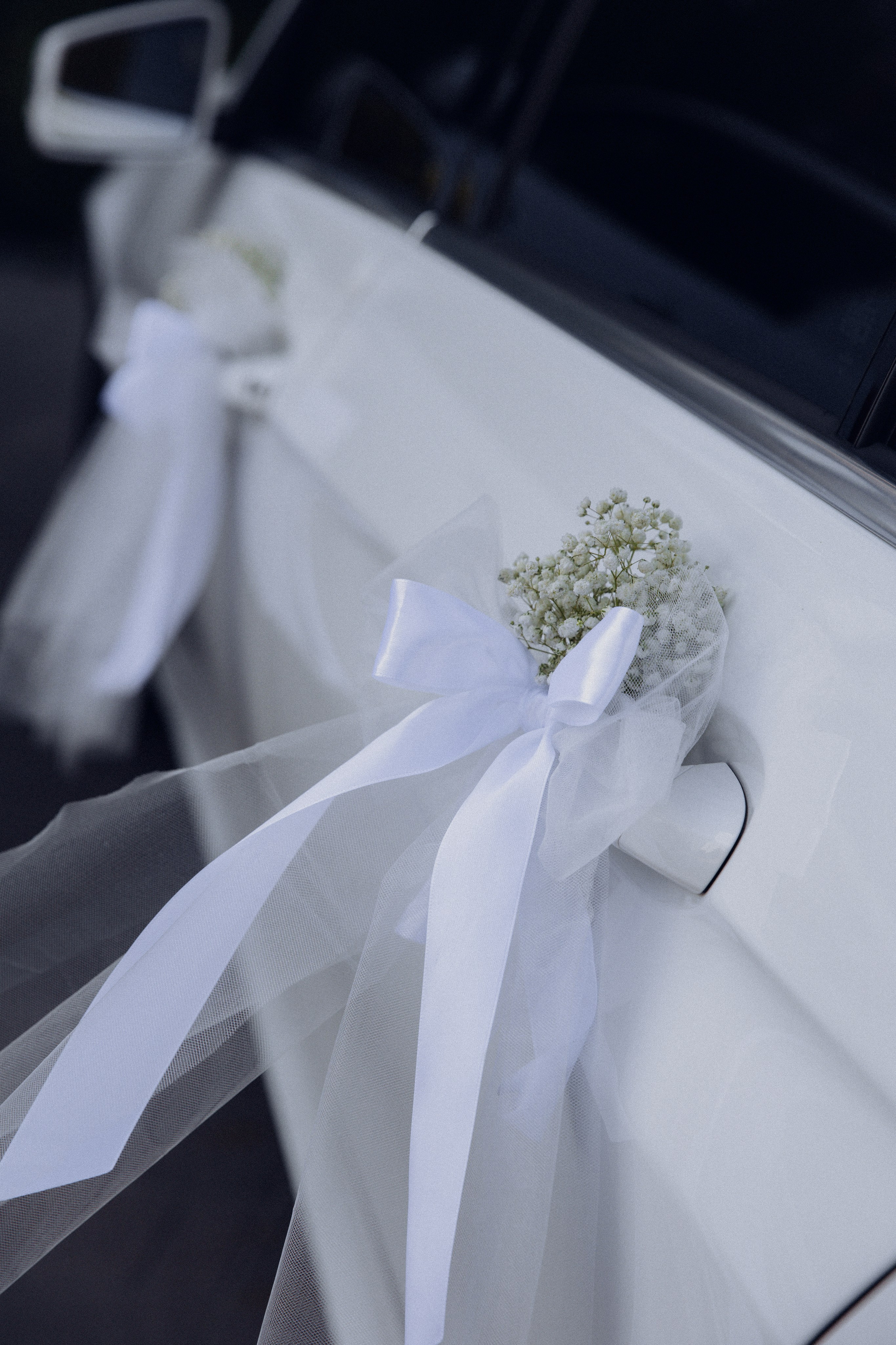 Наташа и Миша (прогулка + загс). Фотограф Нижний Новгород