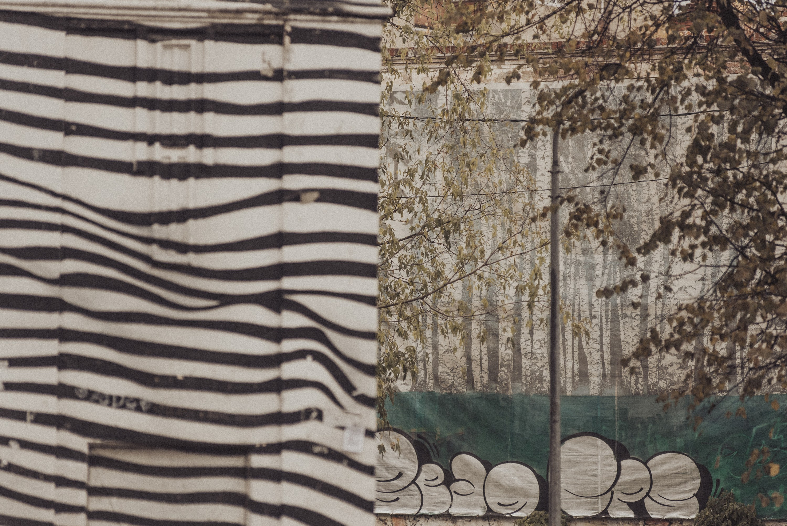 Проект #улицыгорода. Ярославль, ул. Республиканская. Документальный фотограф Илья Тихановский