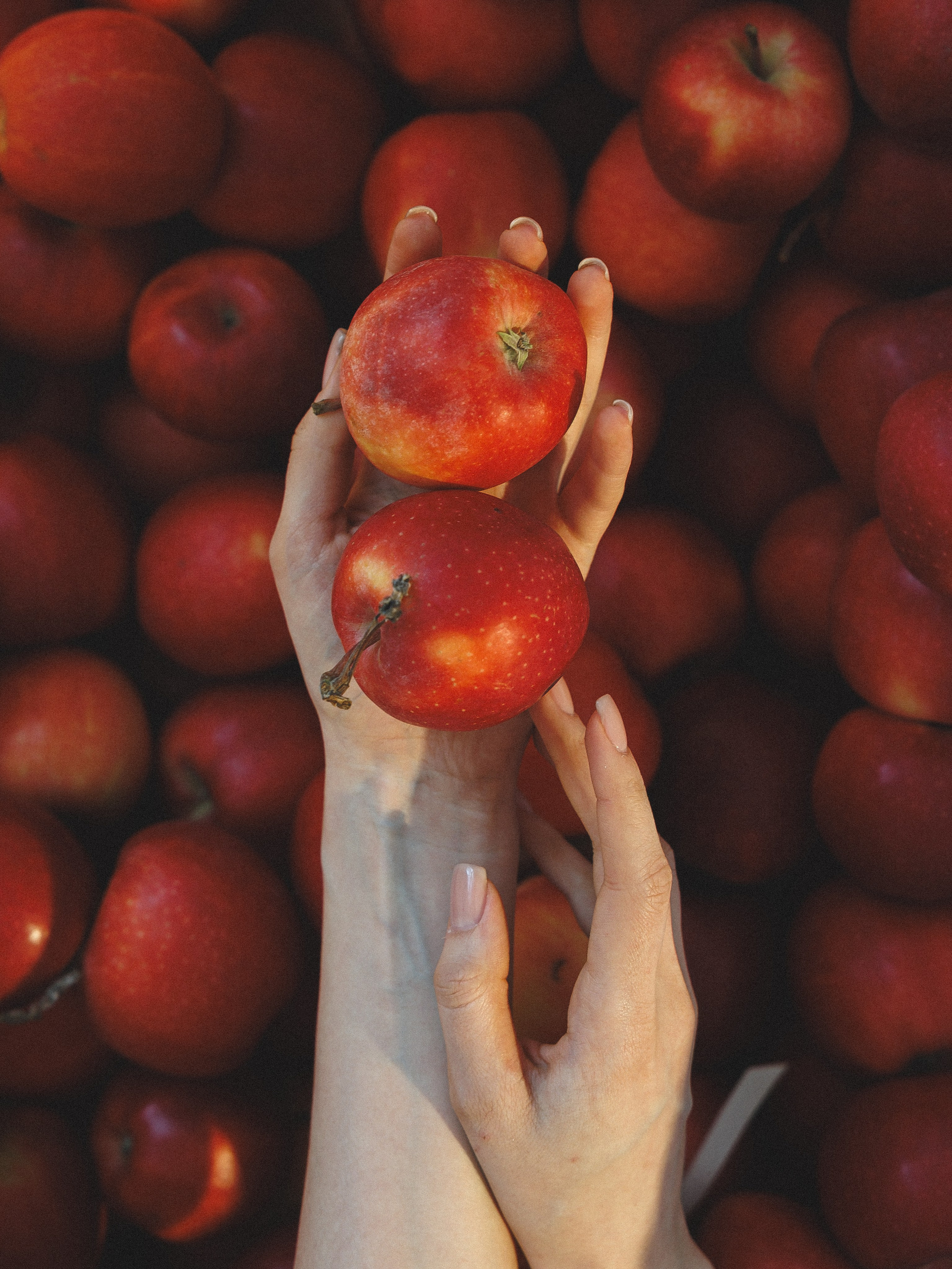 Василий и Яна. Свадебное агентство Amorewed Agency