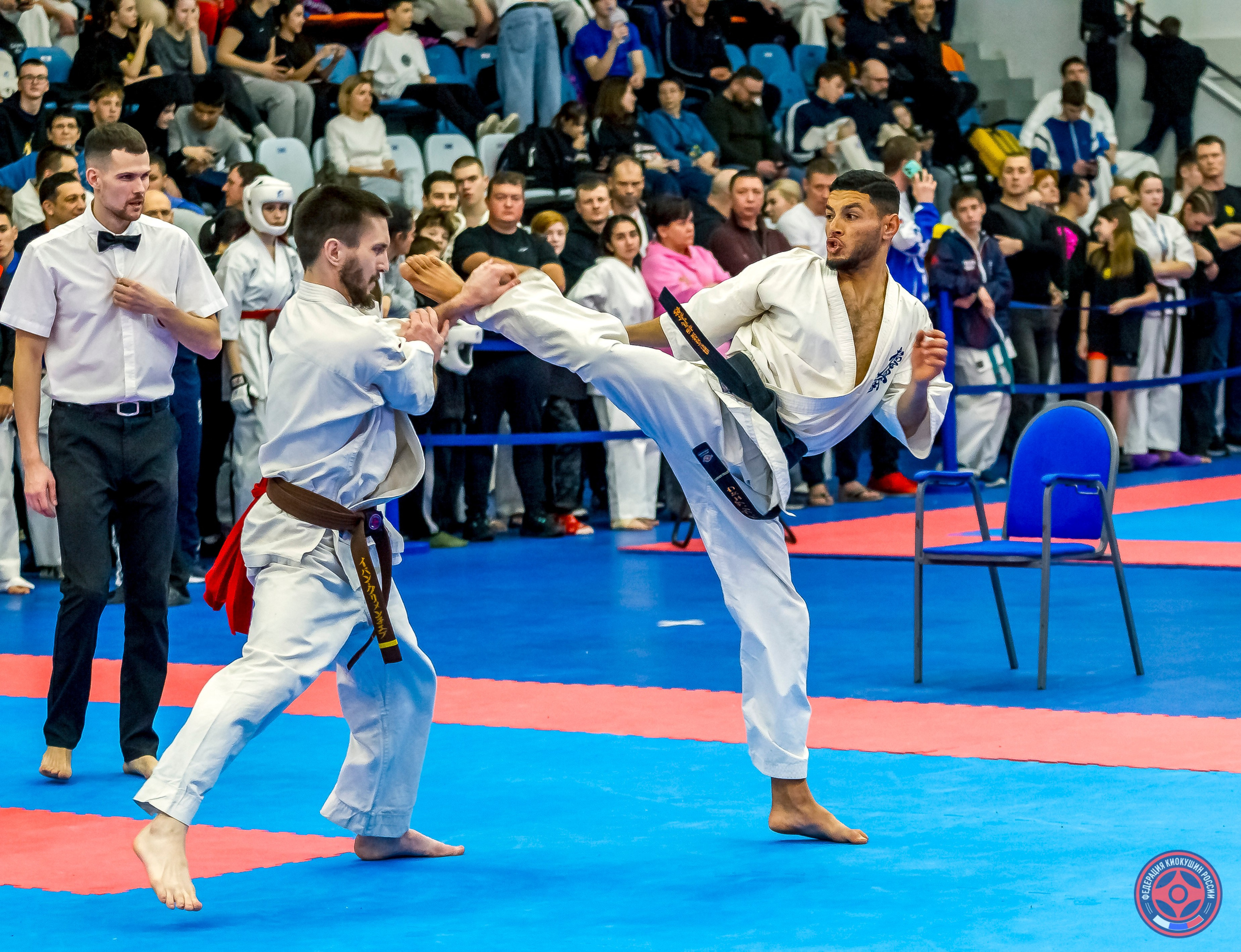 Международный турнир по киокушин «Открытый кубок Seiken». Репортажная съемка в Москве и области. Анималистика