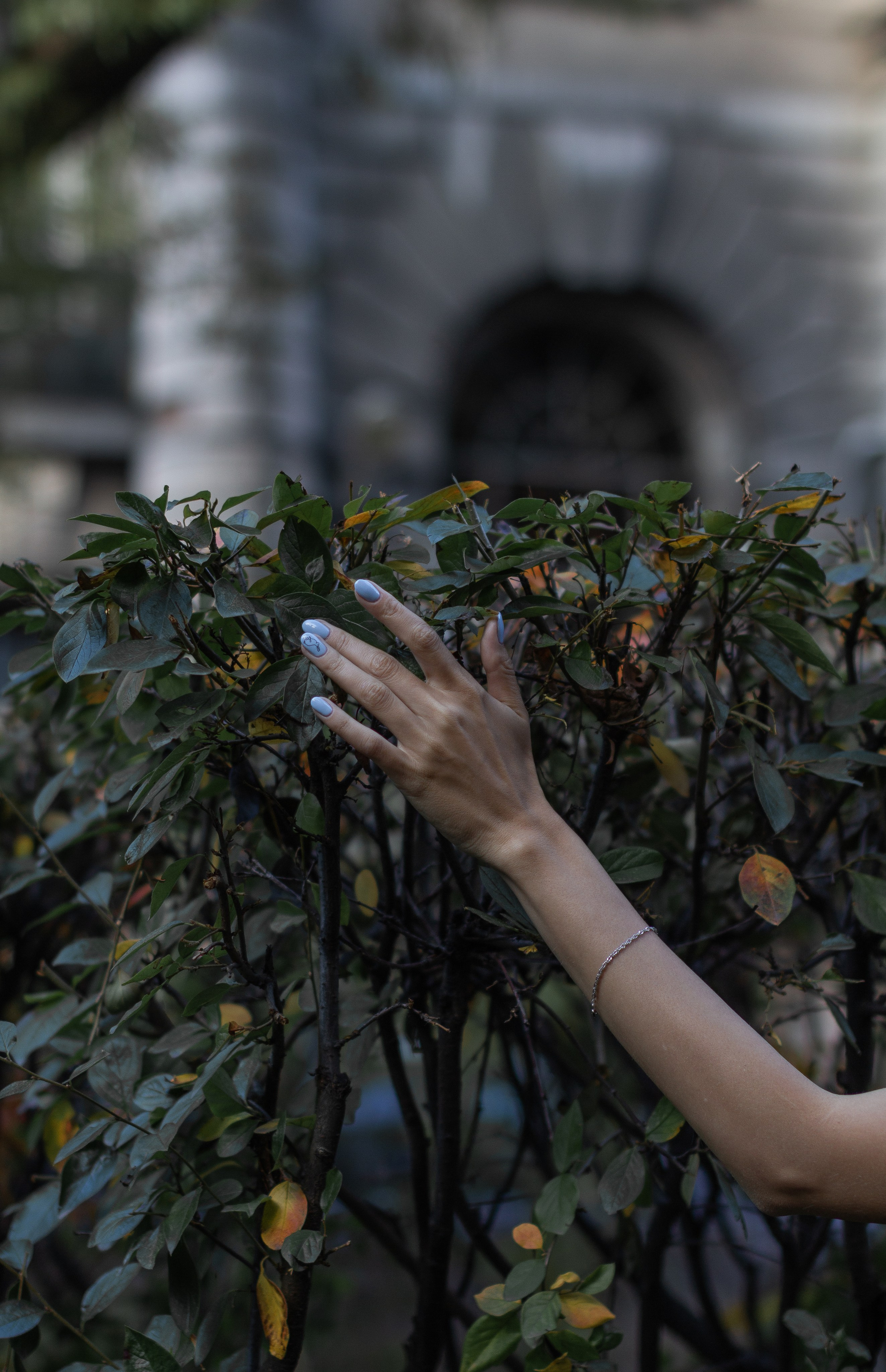Лада. Фотограф в Нижнем Новгороде, Дзержинске Олеся Хозяева