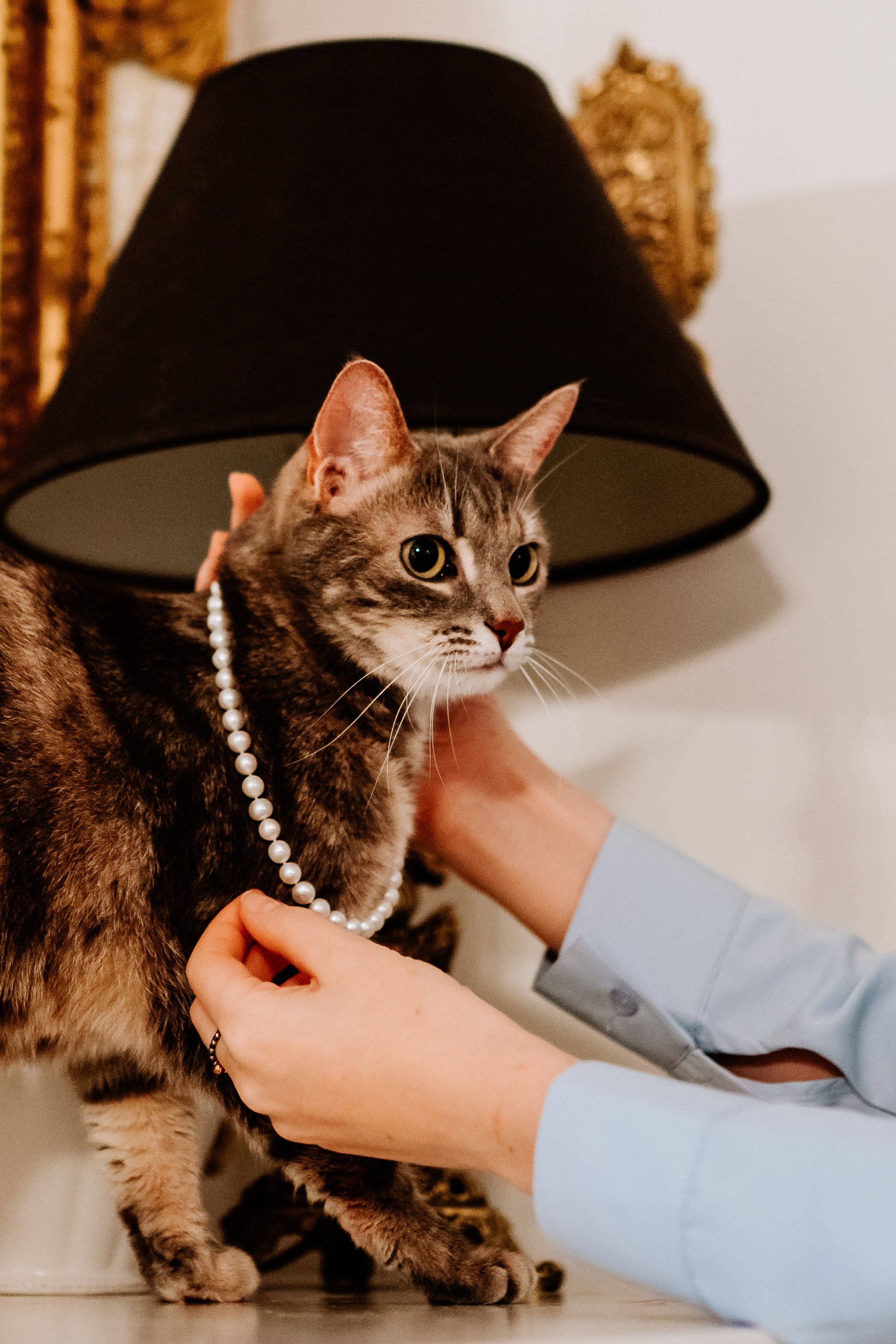 Натали и Иззи. Фотограф анималист в Спб недорого Олеся Майорова