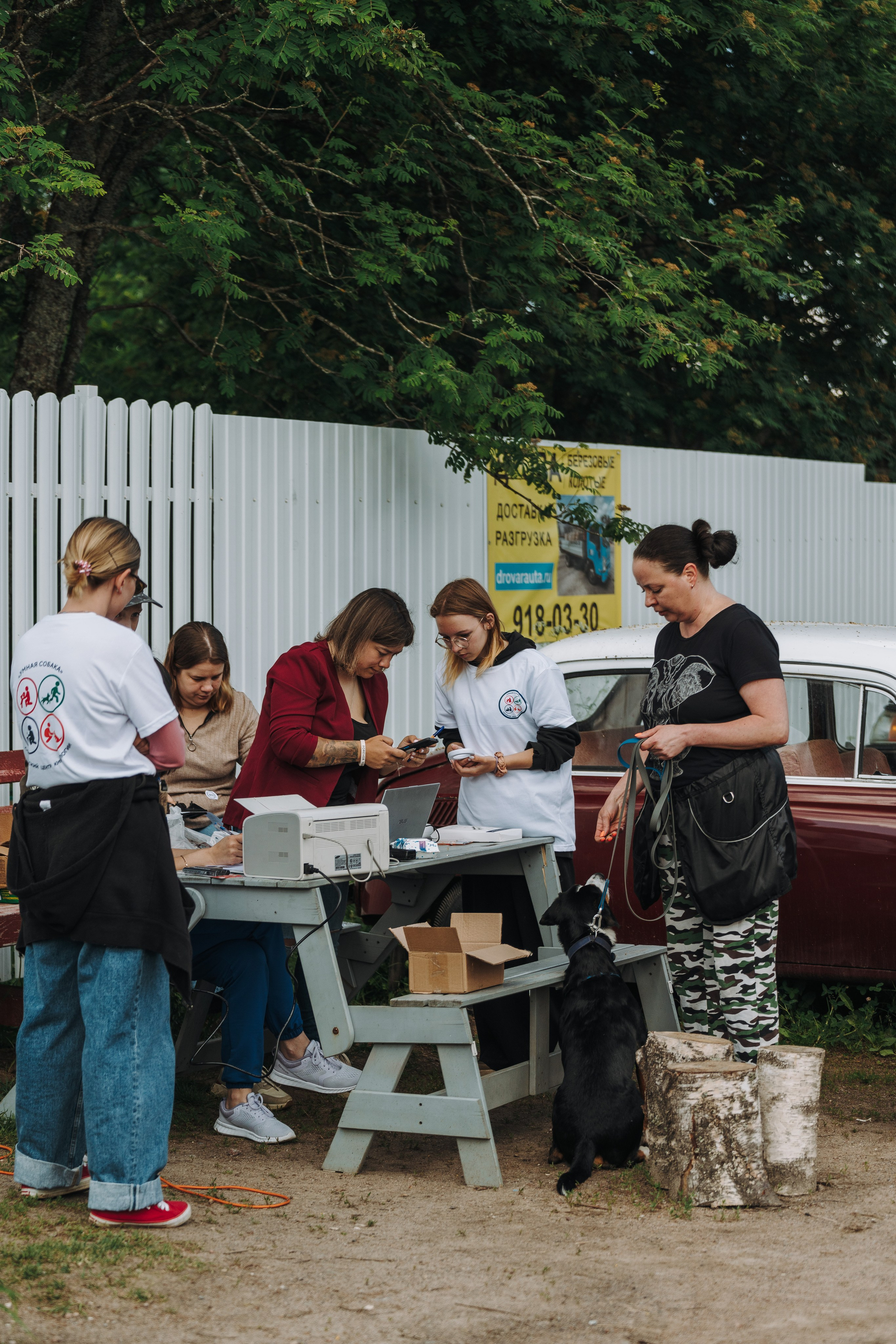 Соревнования по ноузворку. Фотограф анималист в Спб недорого Олеся Майорова