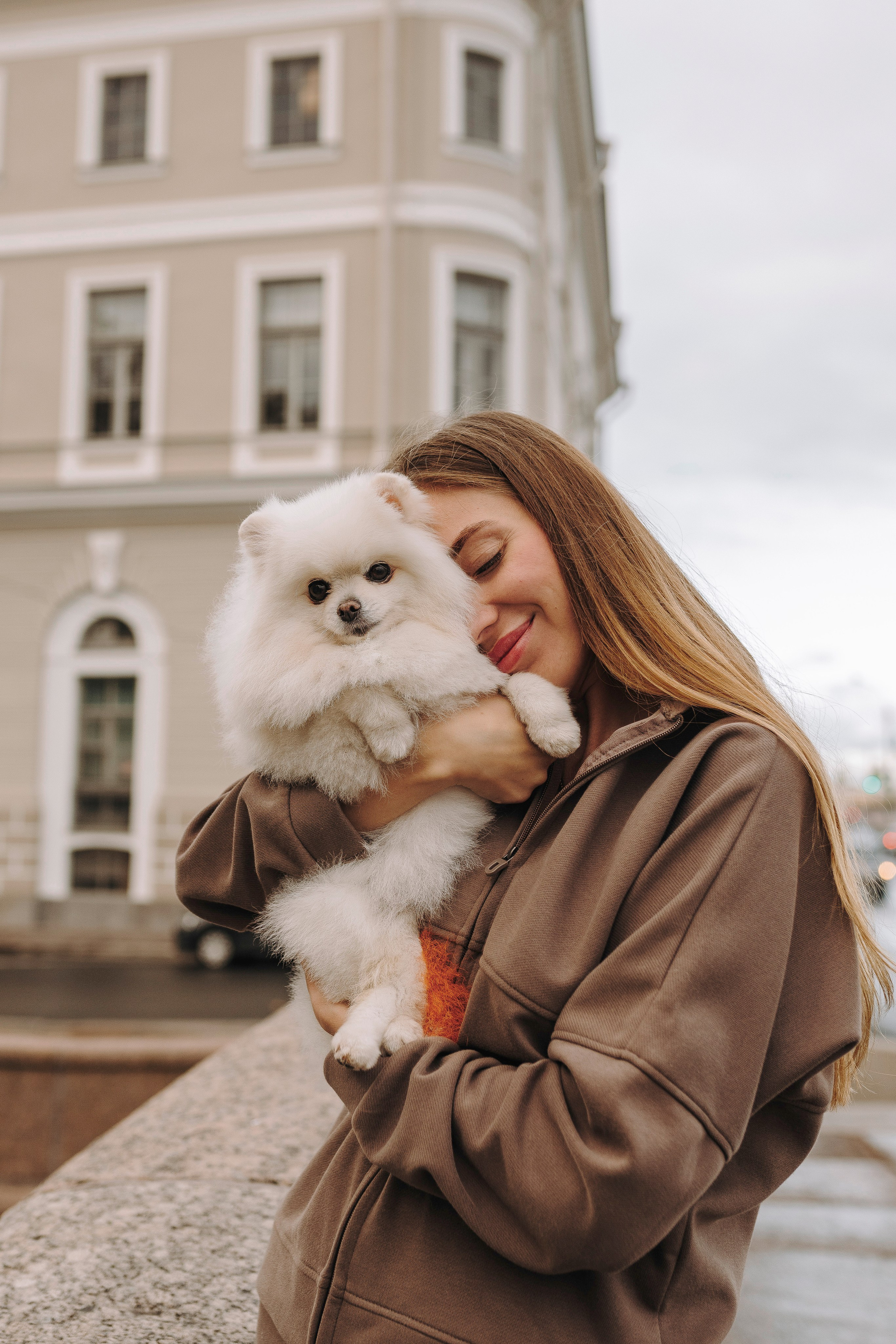 Фотосессия с померанским шпицем. Фотограф анималист в Спб недорого Олеся Майорова