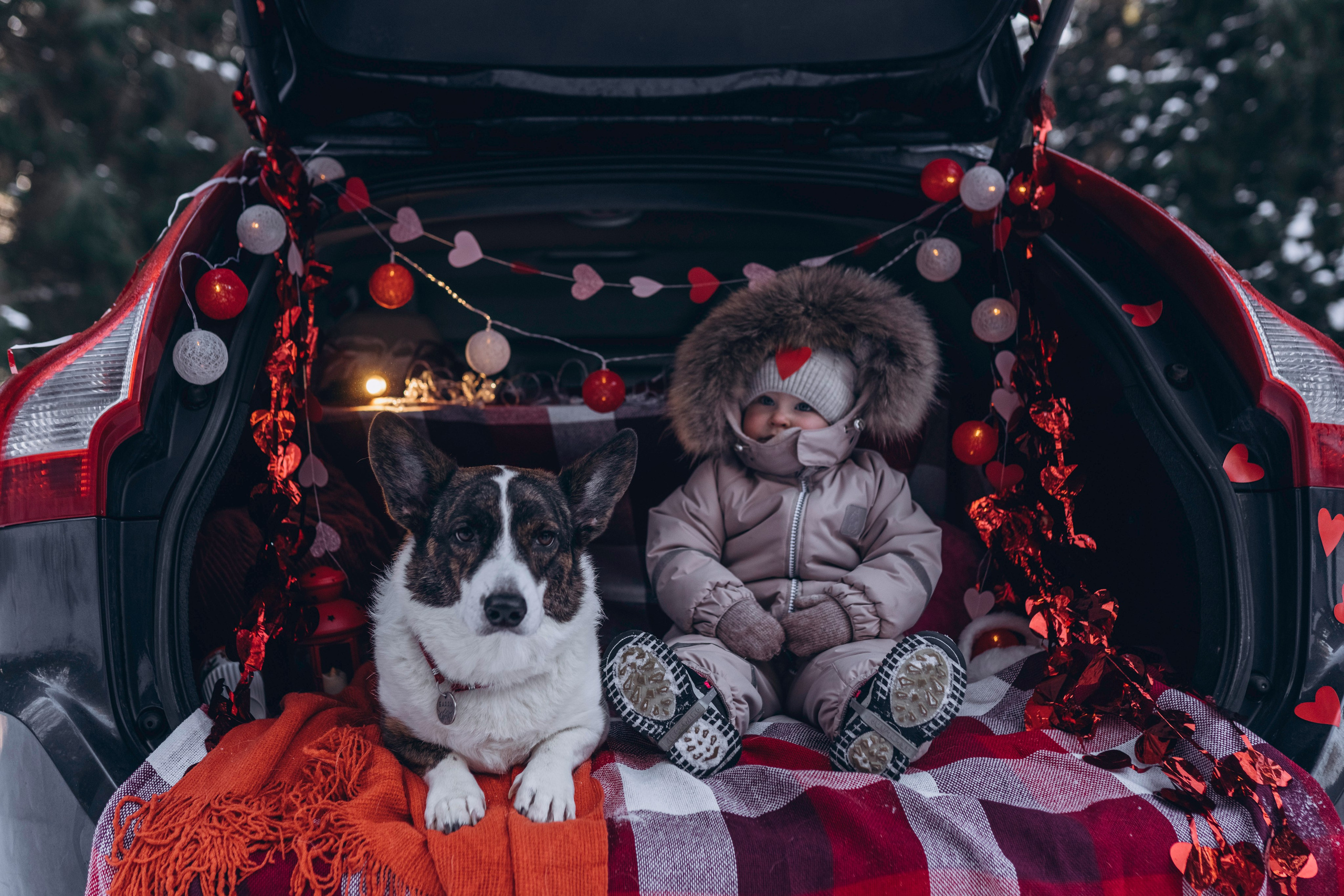 Фотодень Святого Валентина. Фотограф анималист в Спб недорого Олеся Майорова