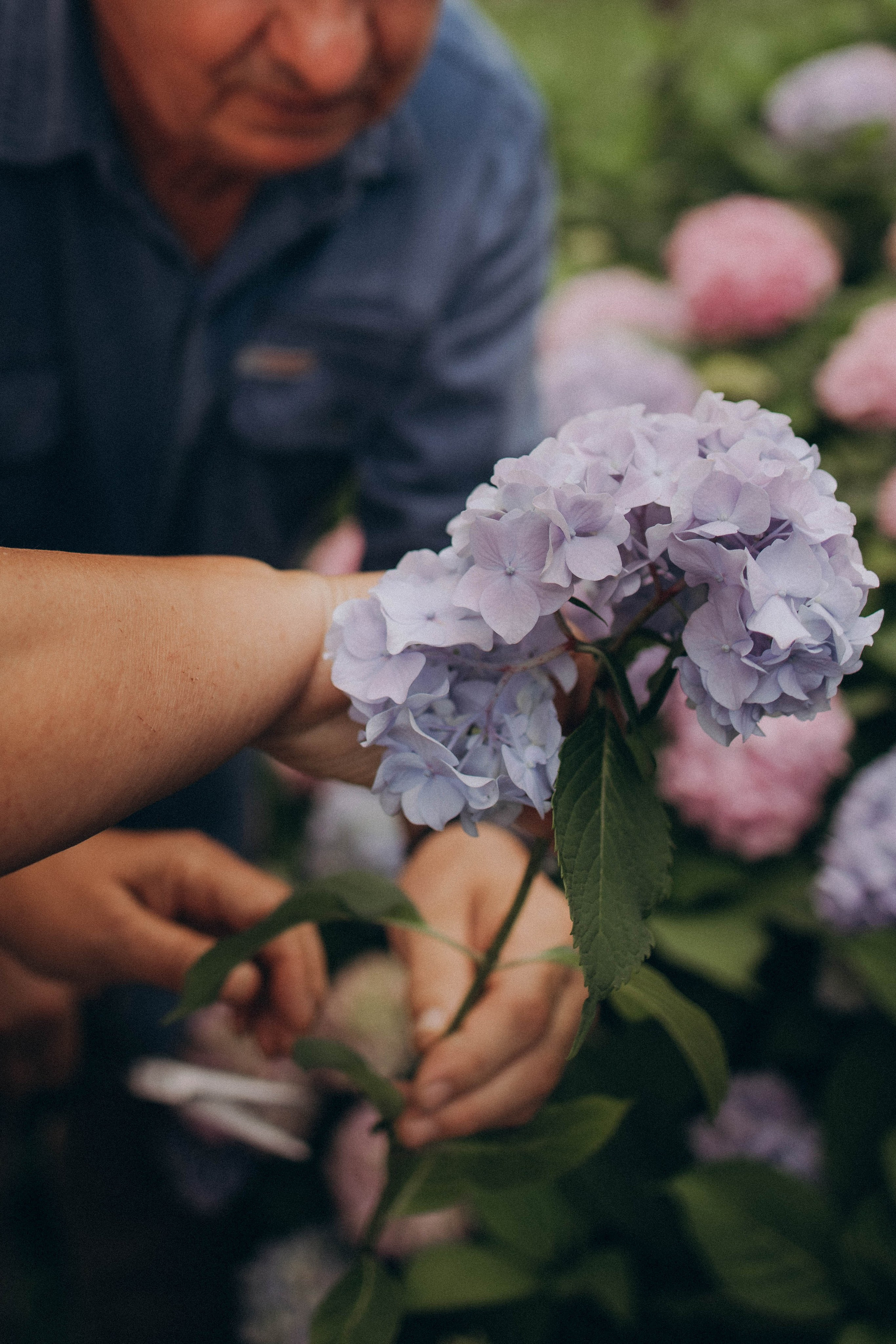 Одним летним днем. Фотограф lifestylе в Москве Пшеничная Анастасия