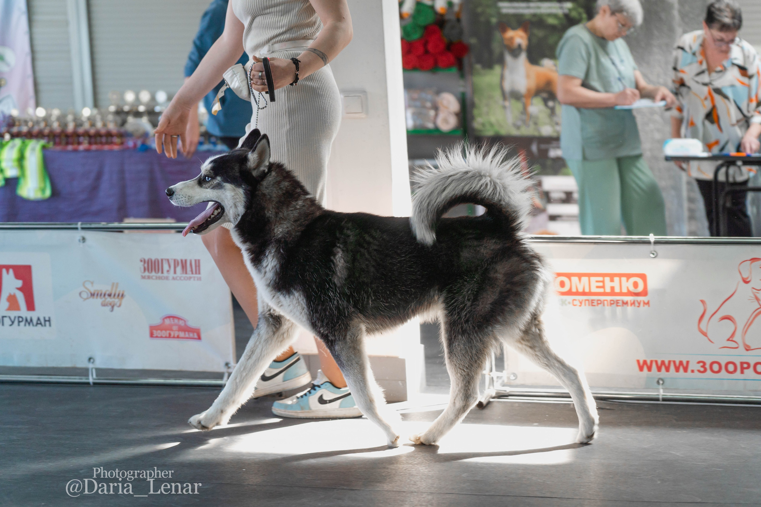 Выставки собак. Фотограф в Москве Ленарская Дарья