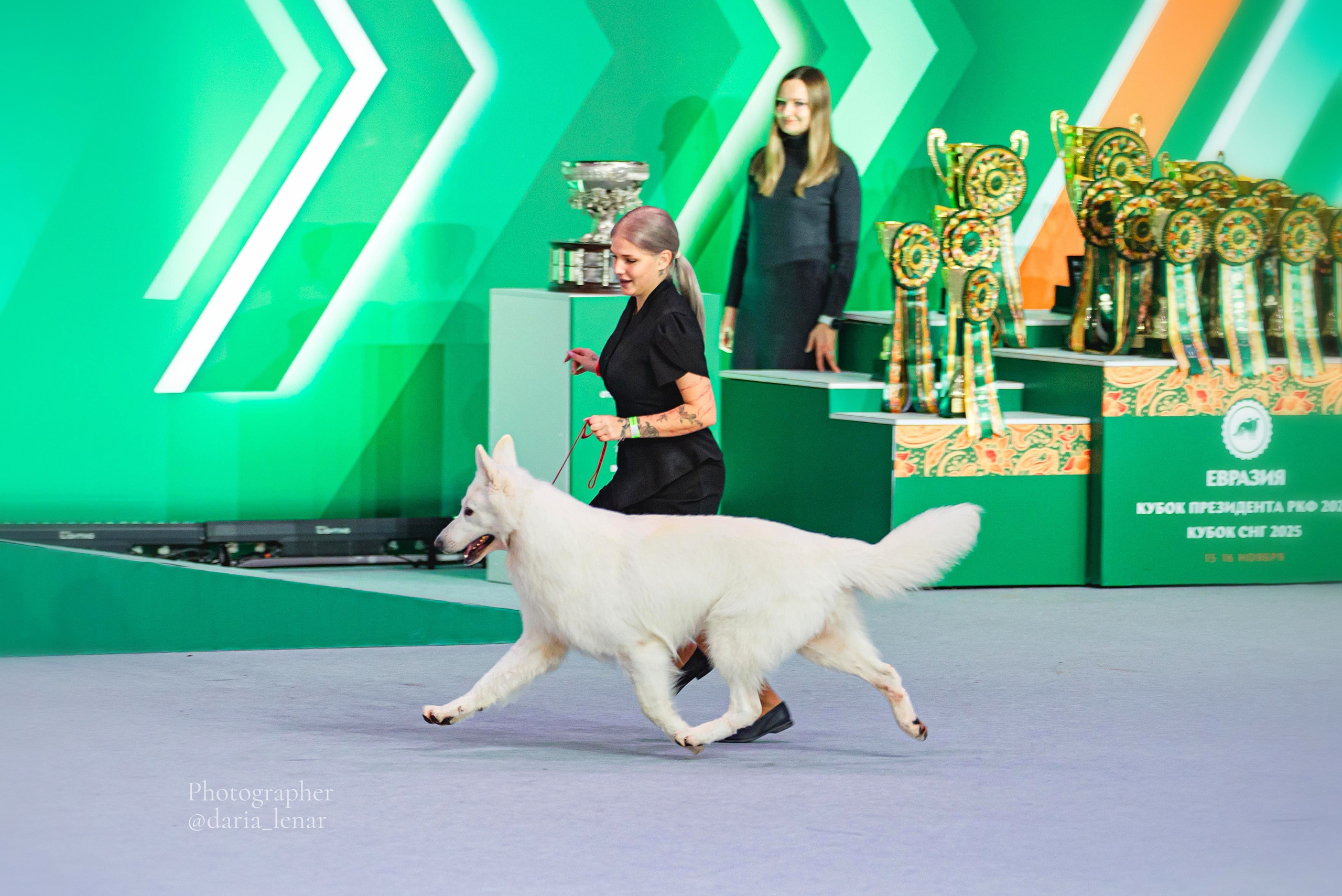 Выставки собак. Фотограф в Москве Ленарская Дарья