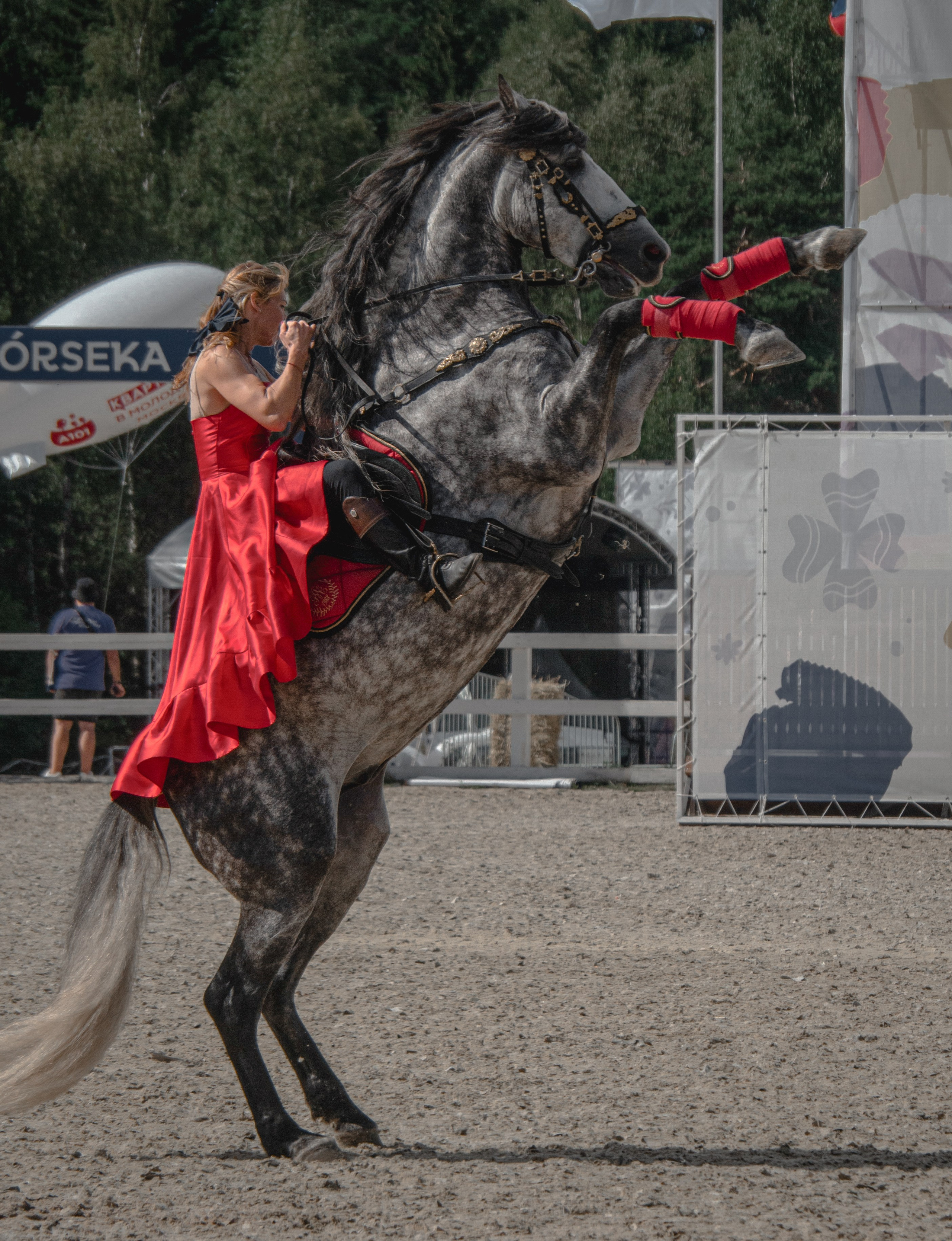 Конные фестивали и мероприятия. Фотограф в Москве Ленарская Дарья