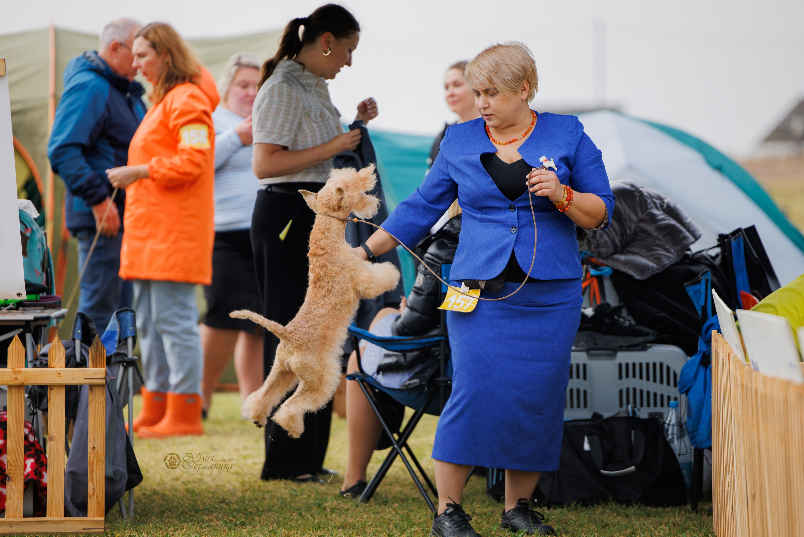 Армения,Ереван 3хCACIB 15-17.10.2024. Фотограф-анималист Юлия Германика