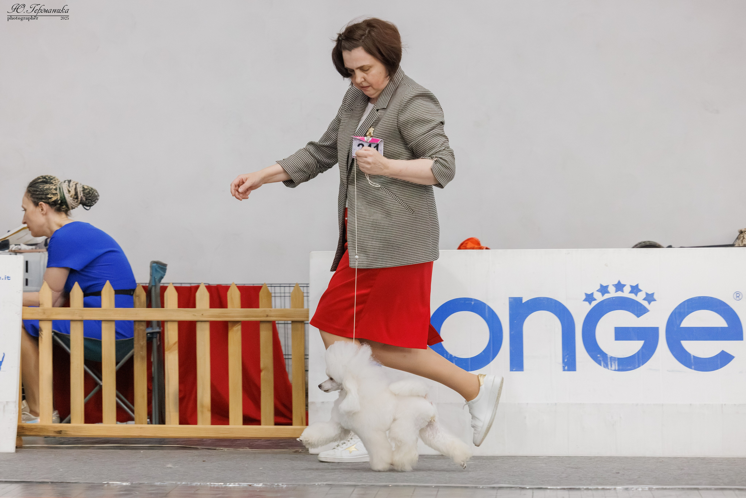 Ереван 2х CACIB 29-30.04.2025. Фотограф-анималист Юлия Германика